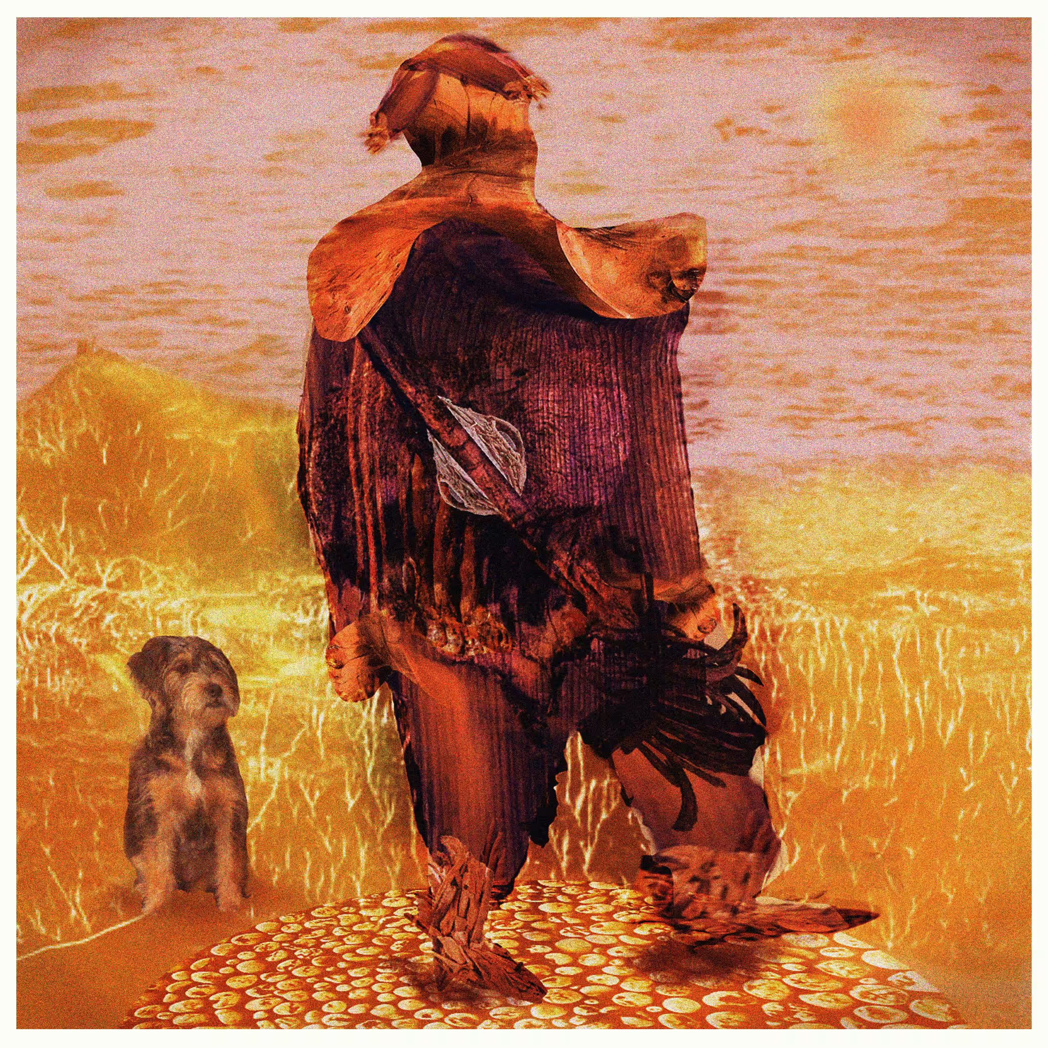 The Wanderer