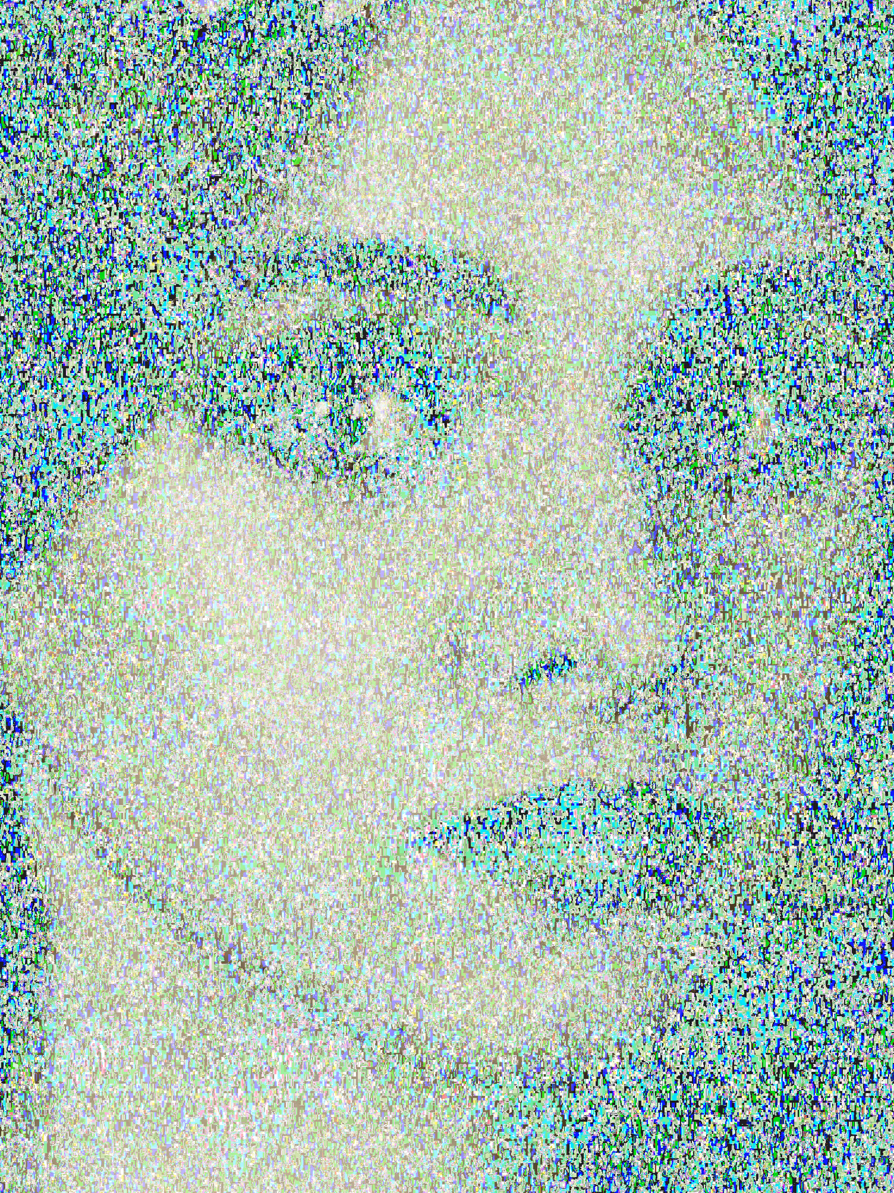 Mona 3