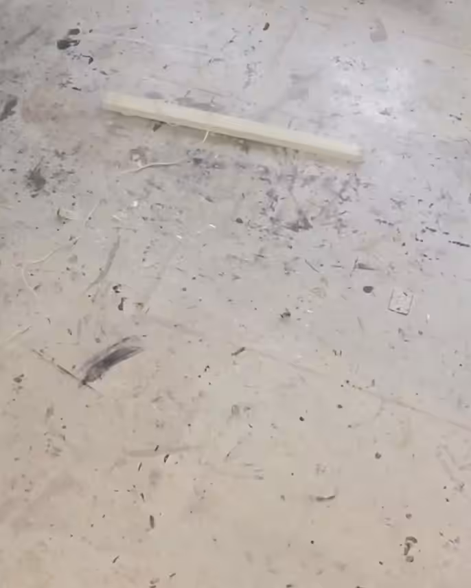 STUDIO VIDEO (FLUORESCENT LAMP)