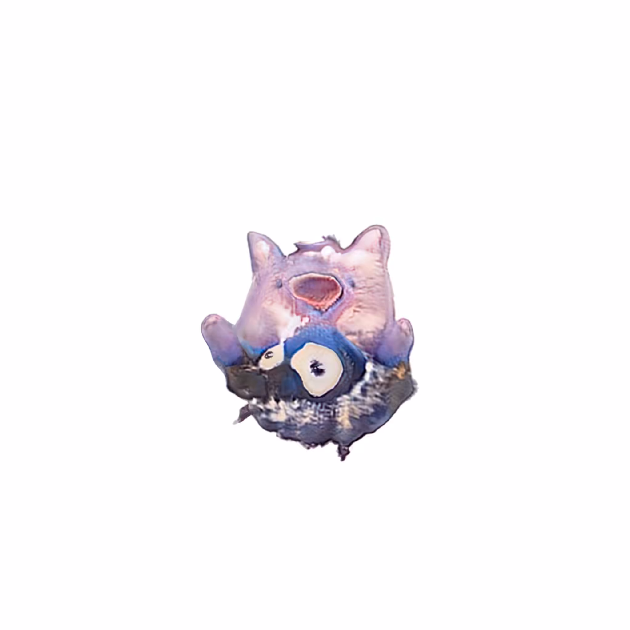 Spowsi