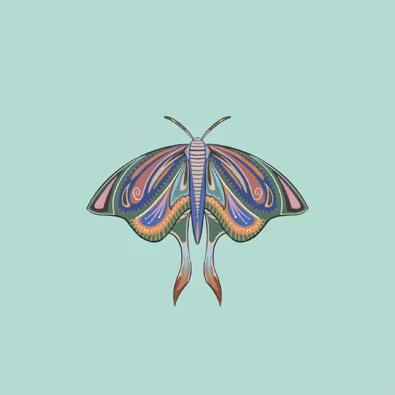 The Moth Experiment 2.0 P1 #2