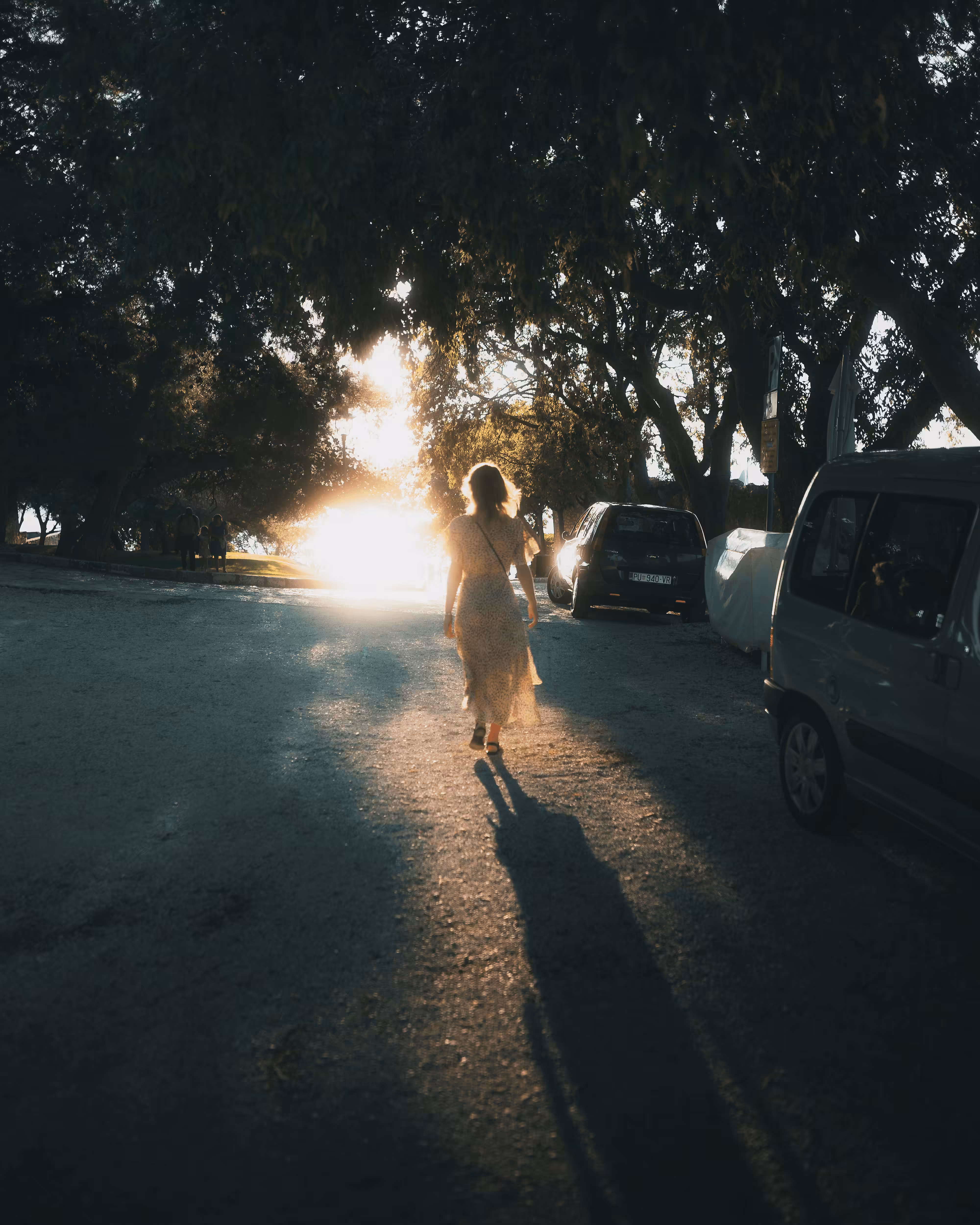 Stranger #26
