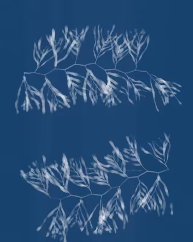 Cyanotypes #10