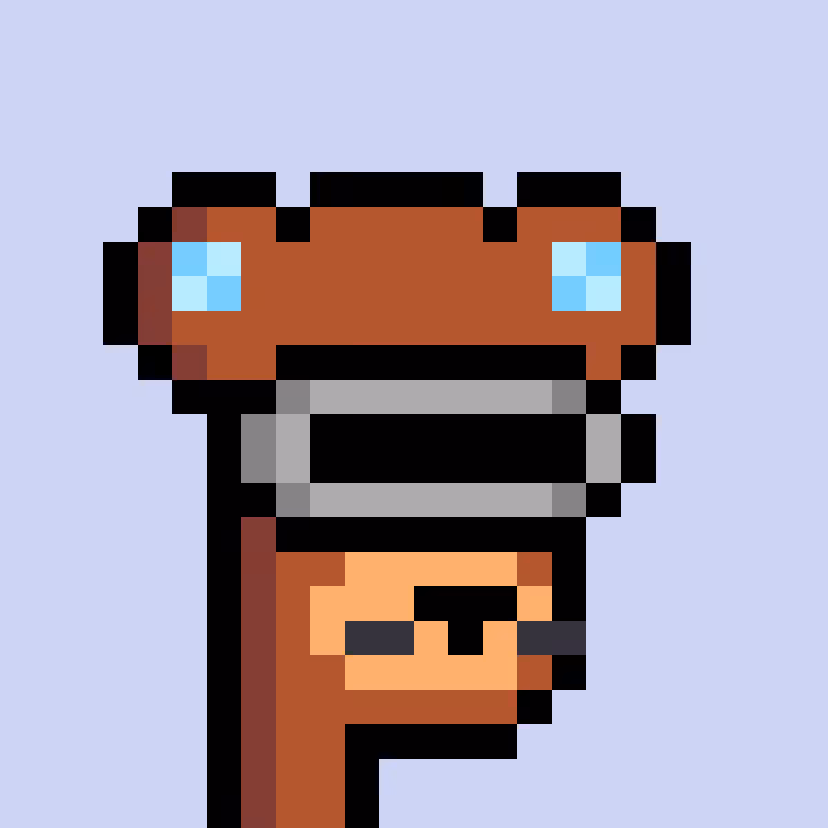 BearPunks #3337