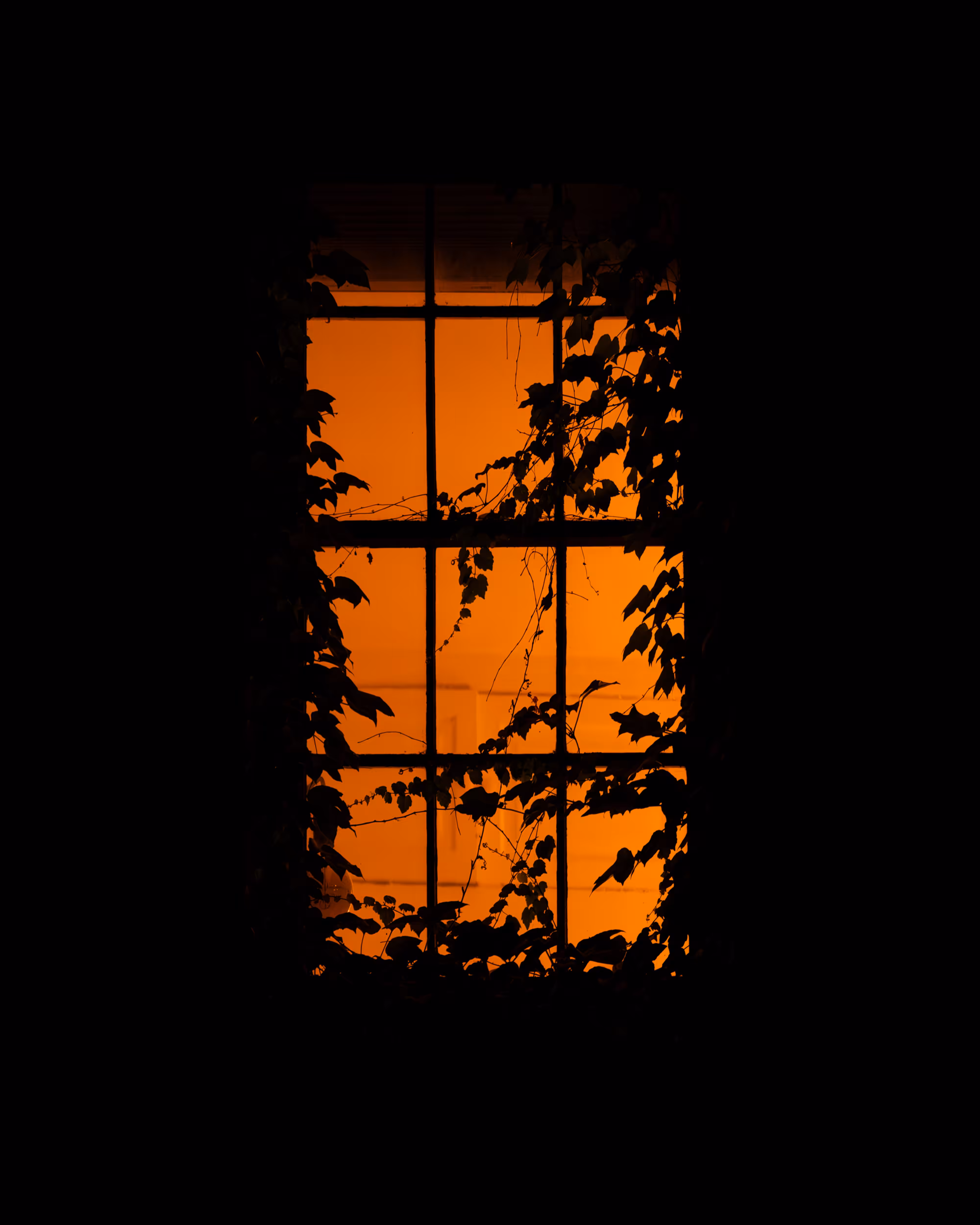 WINDOW 397