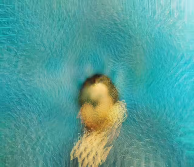 / EXPERIMENTAL VAN GOGH SUNFLOWER /