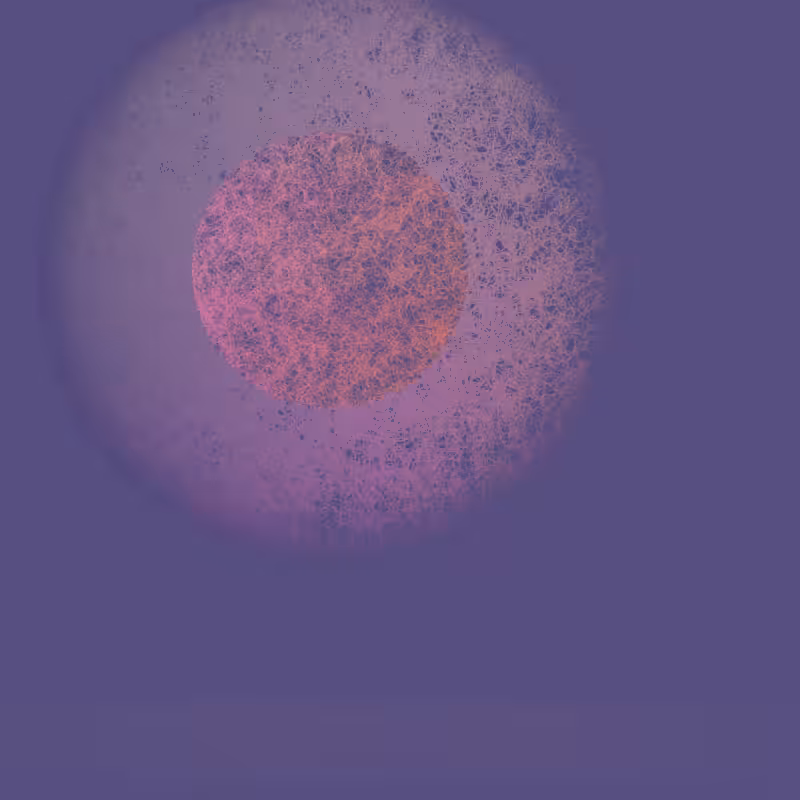 Orbit #141