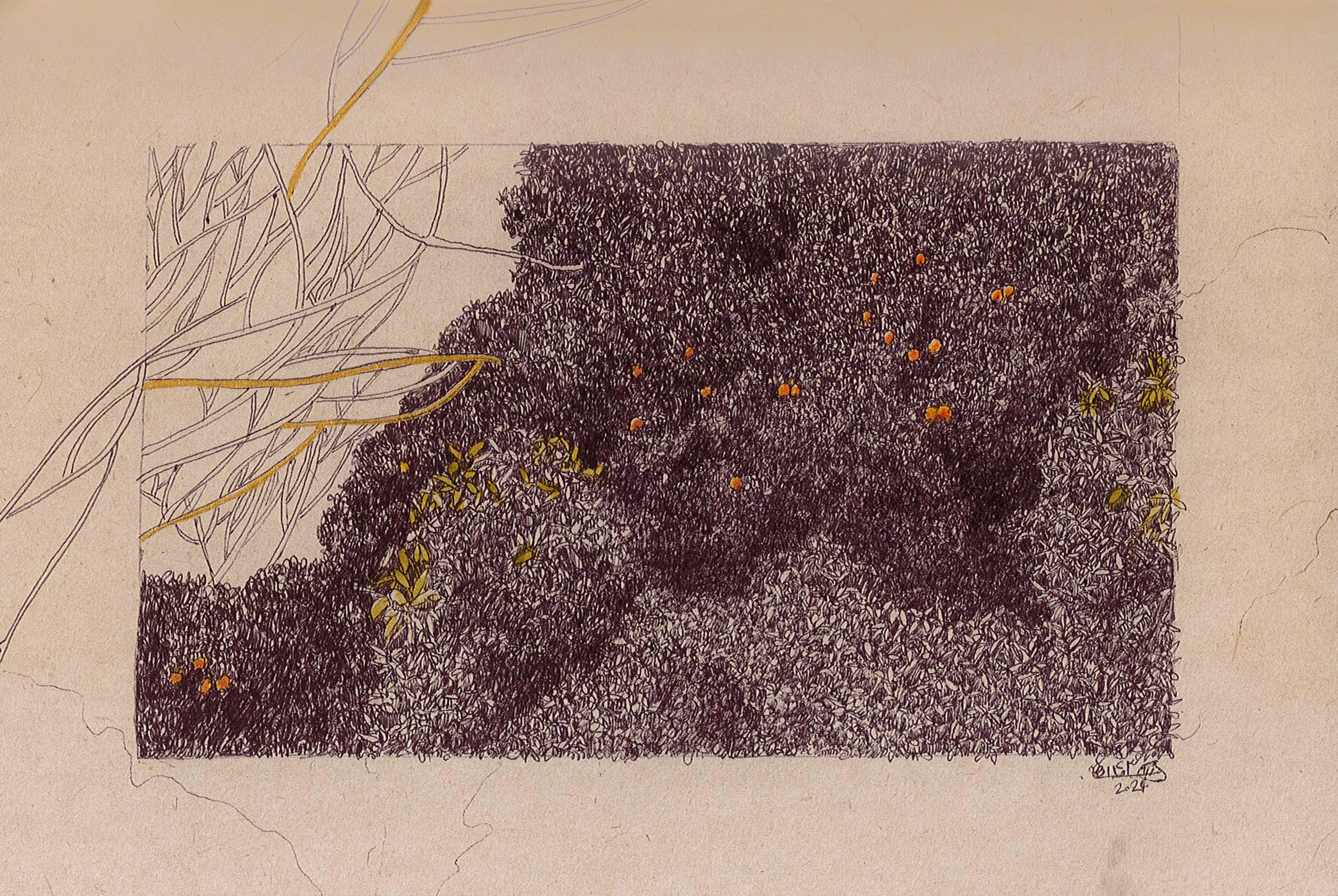  orange tree #1