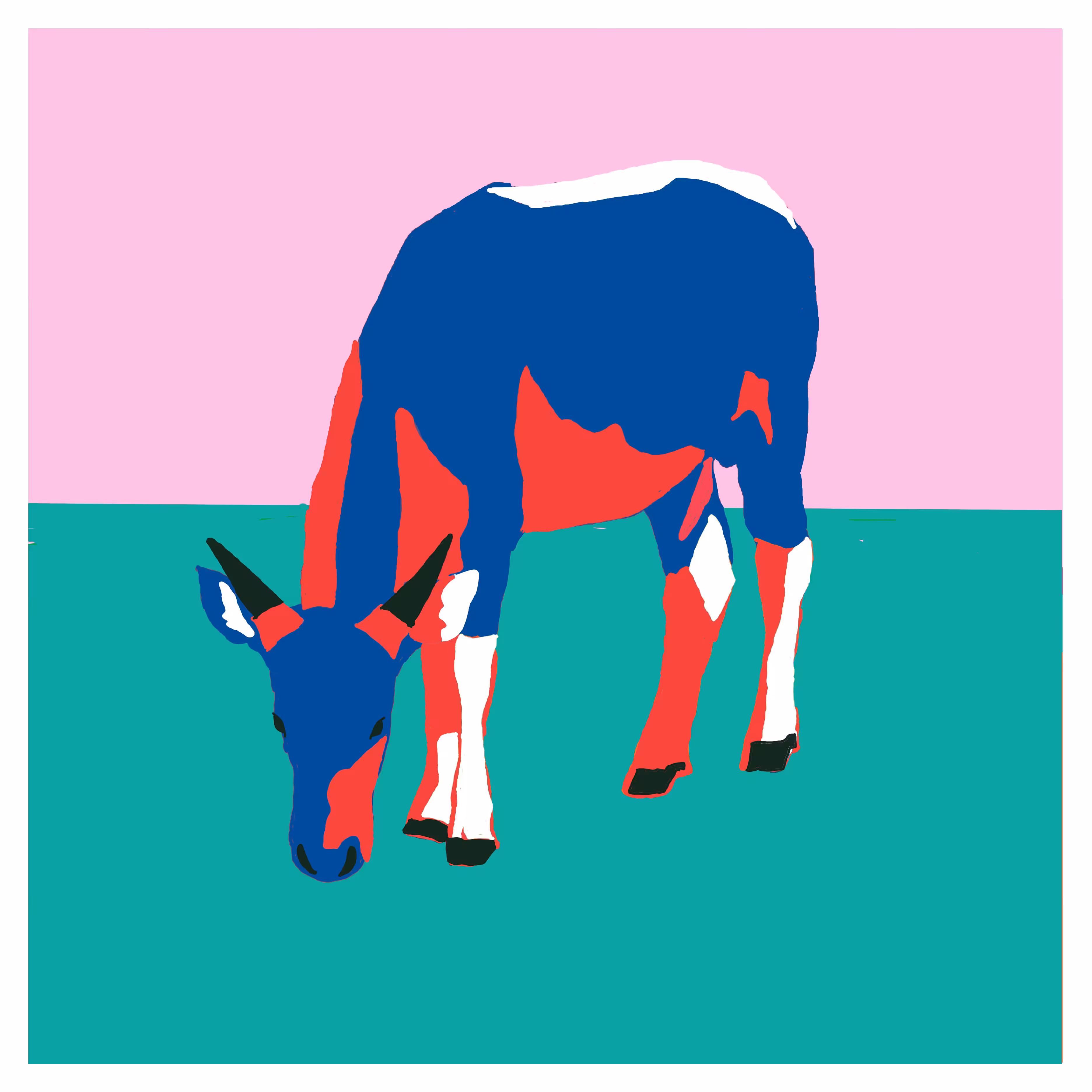 bos taurus