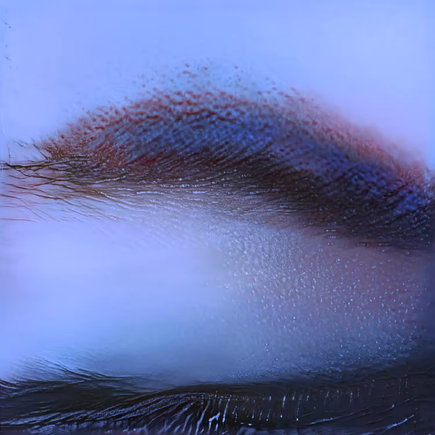 Eyelid Landscape