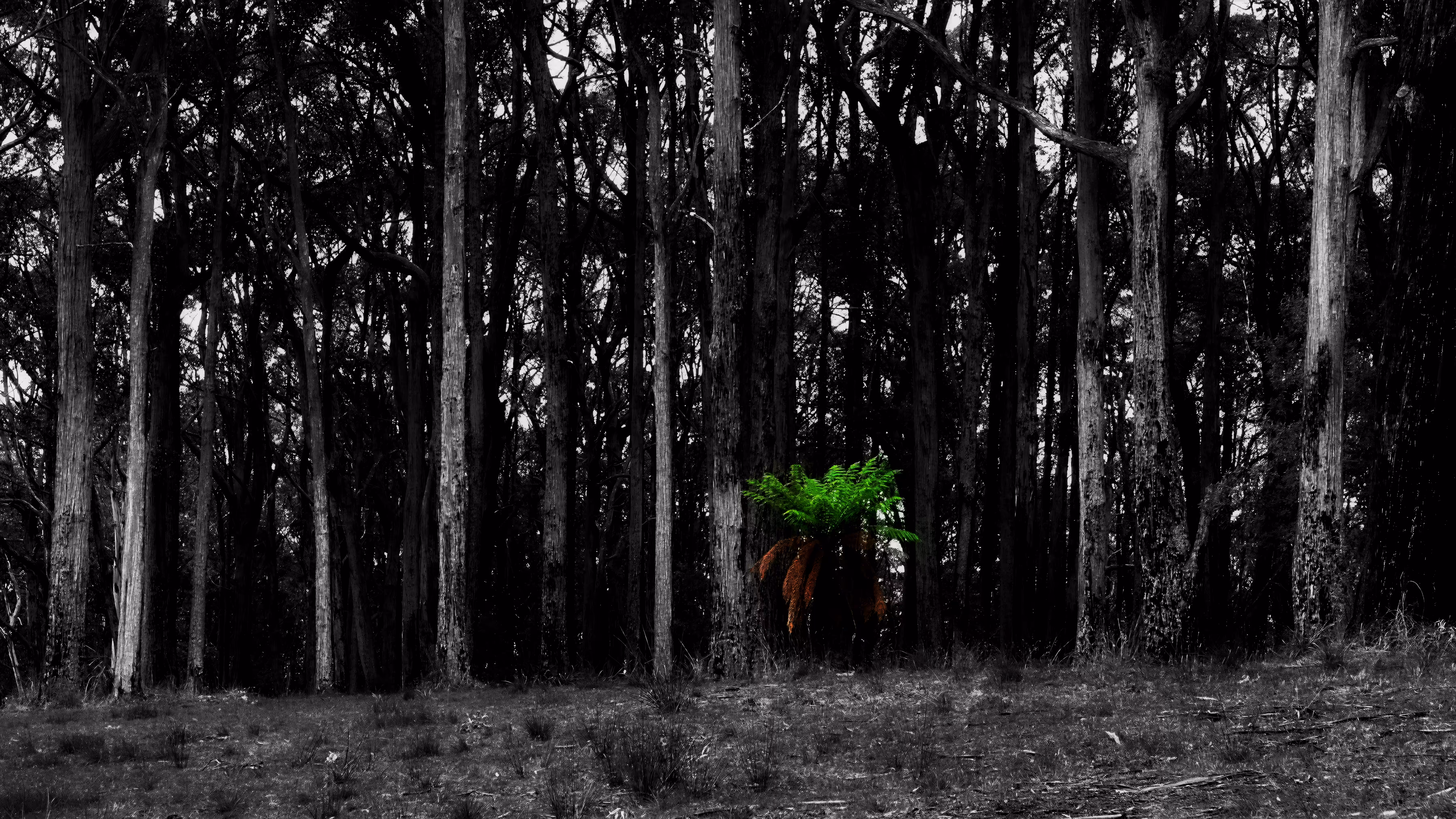 Green Persistence