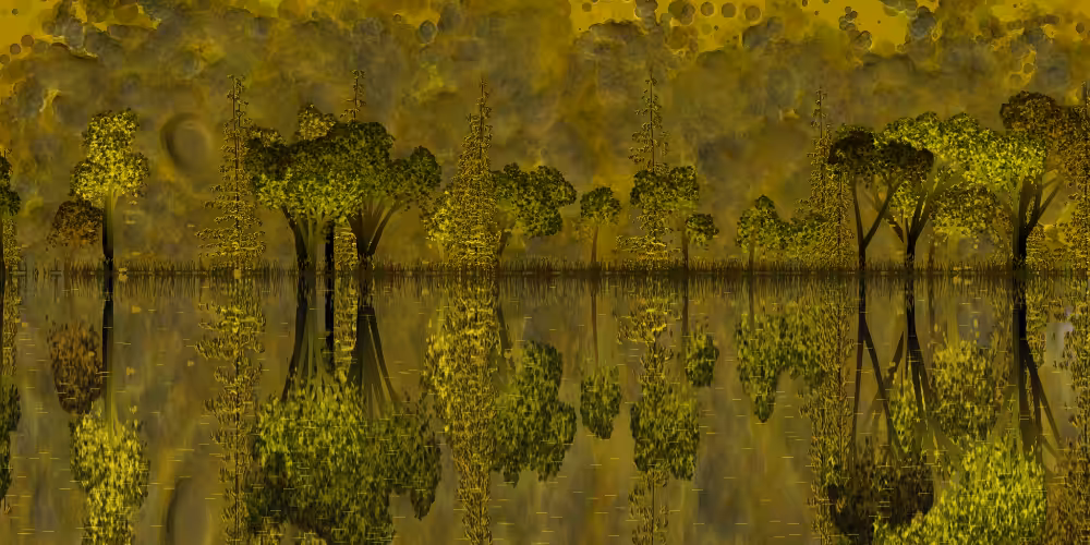 The Pond #40