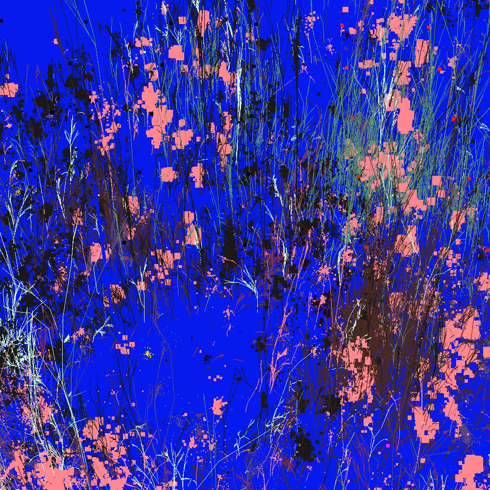 Infinite Garden: 30077 Flowers