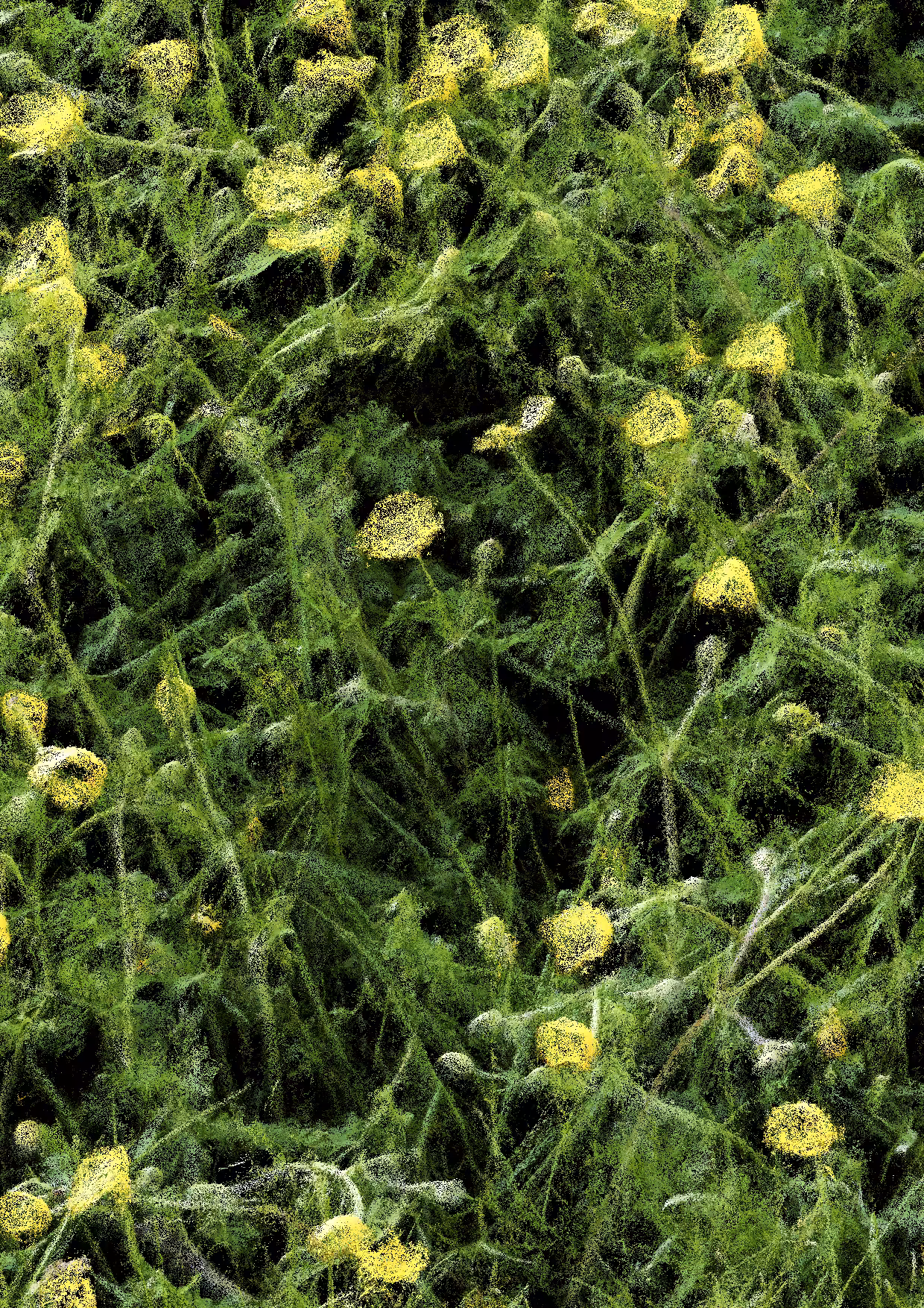 Overgrowth 0296