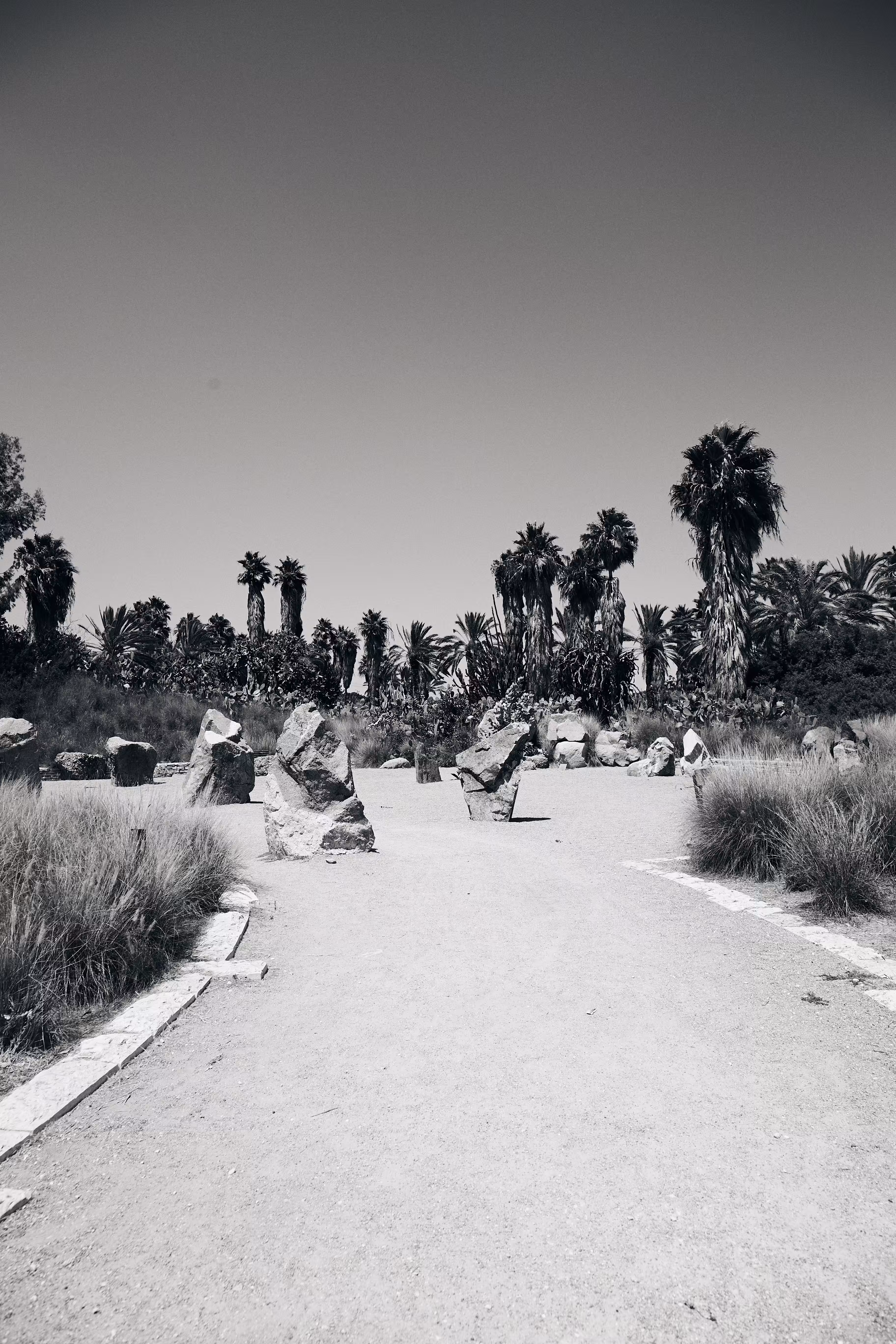 Lonesome Walk