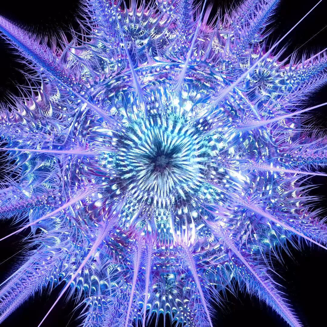 Deep Journey