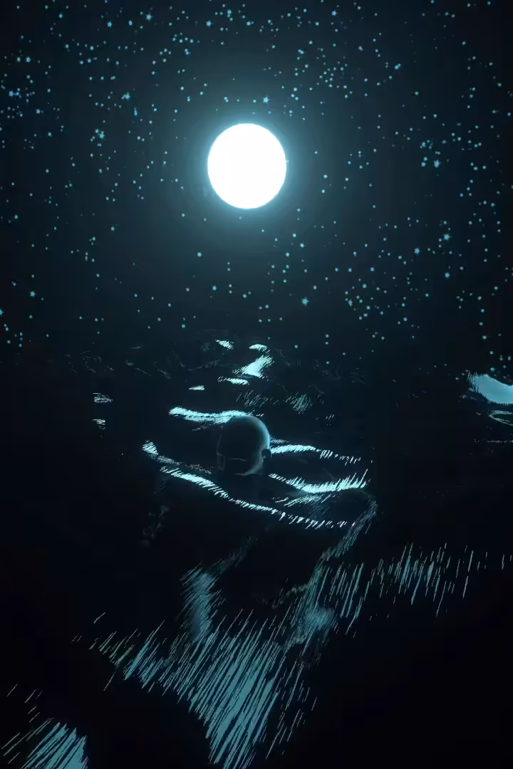 Lost in the night