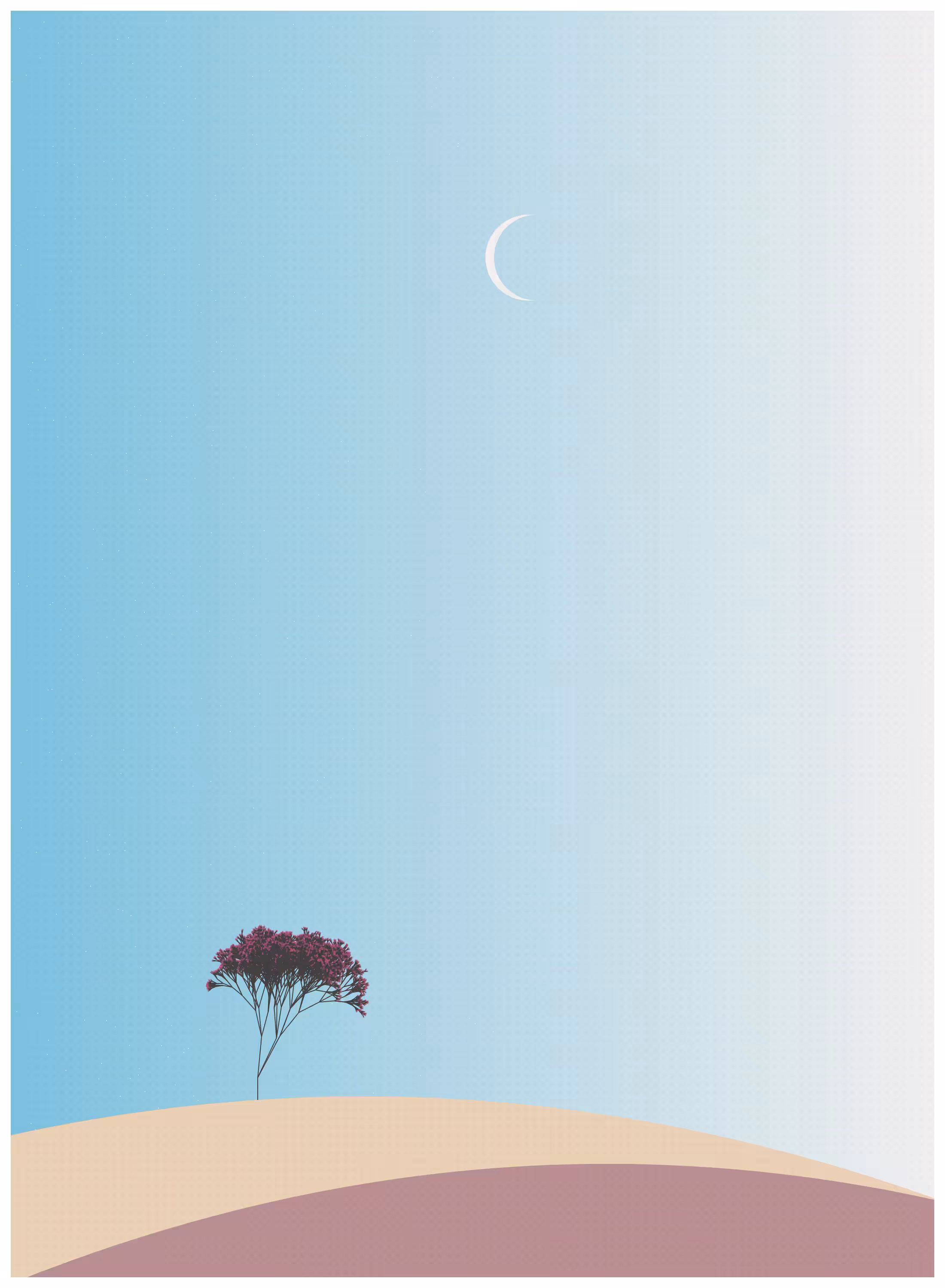 Ecos de Calma #65