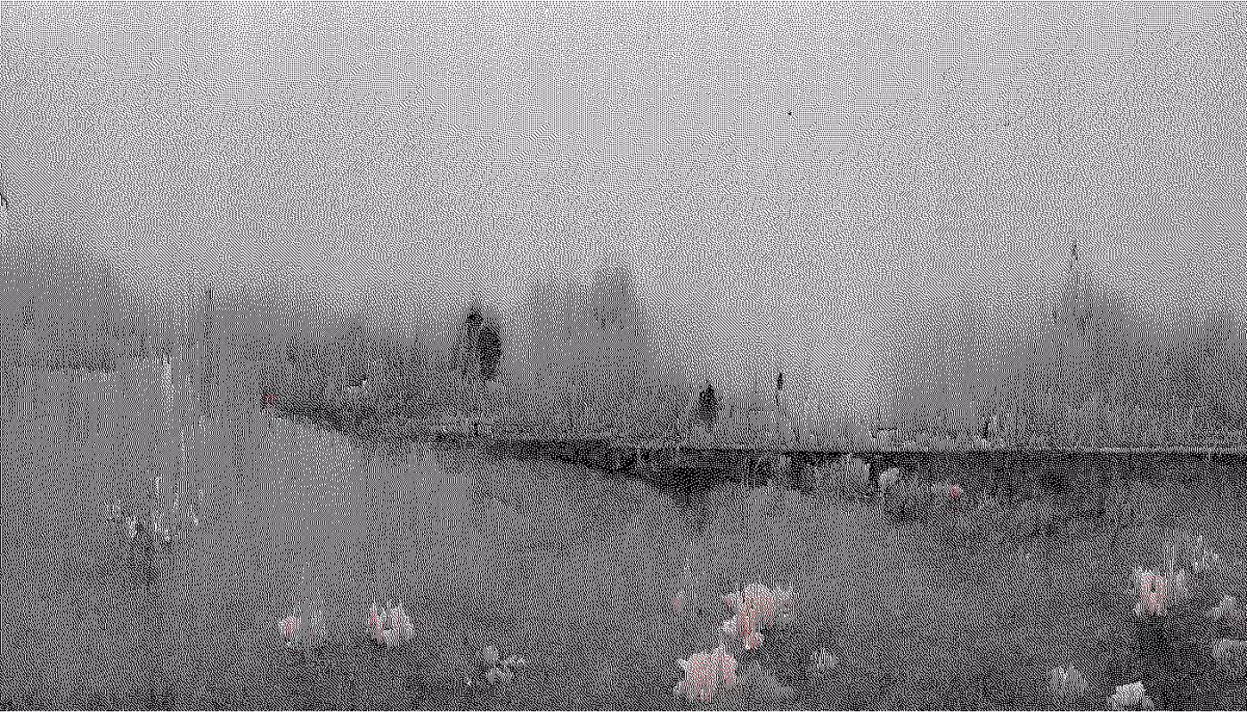 backwater