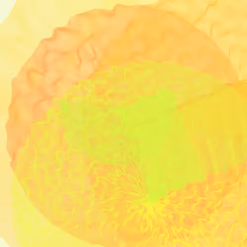 Lillypads #65
