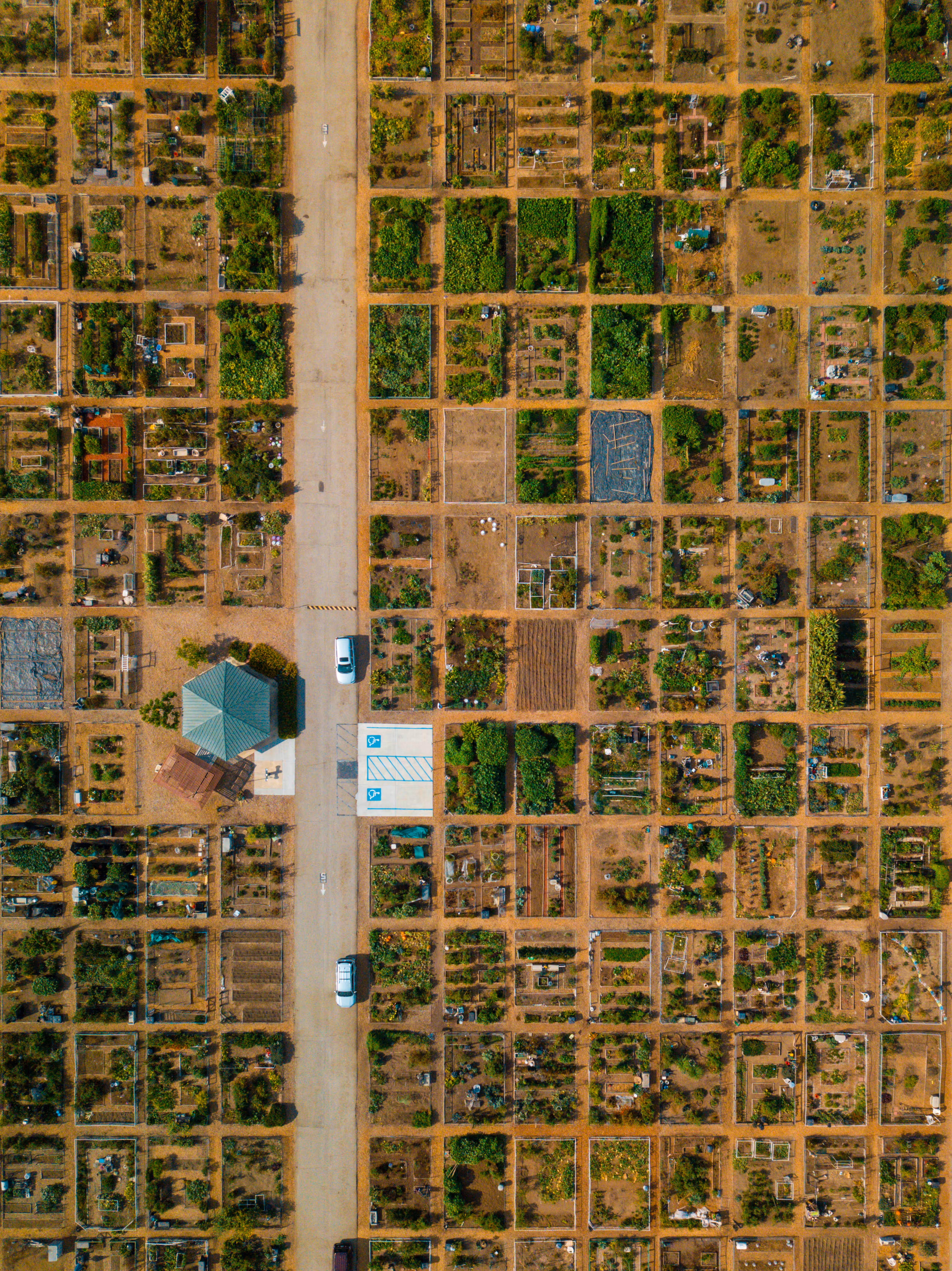 Garden Gridlock