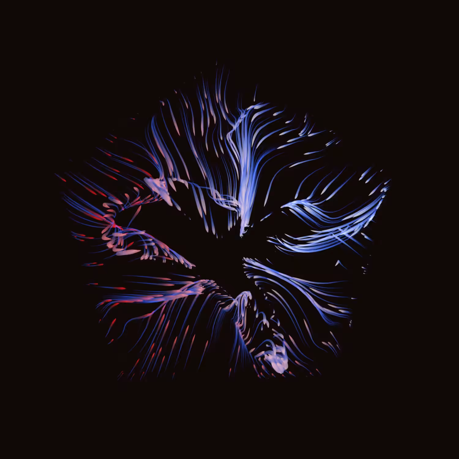 Vortex #504