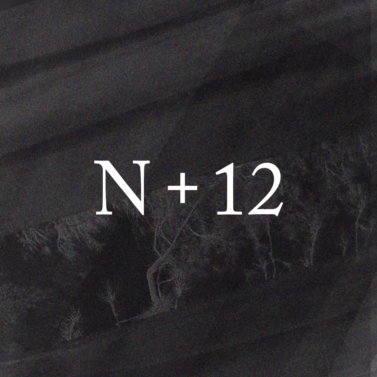 N+12