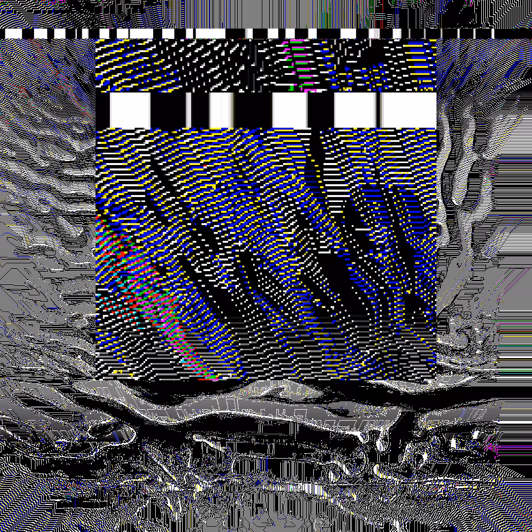 nearest neighbor - genesis  #33