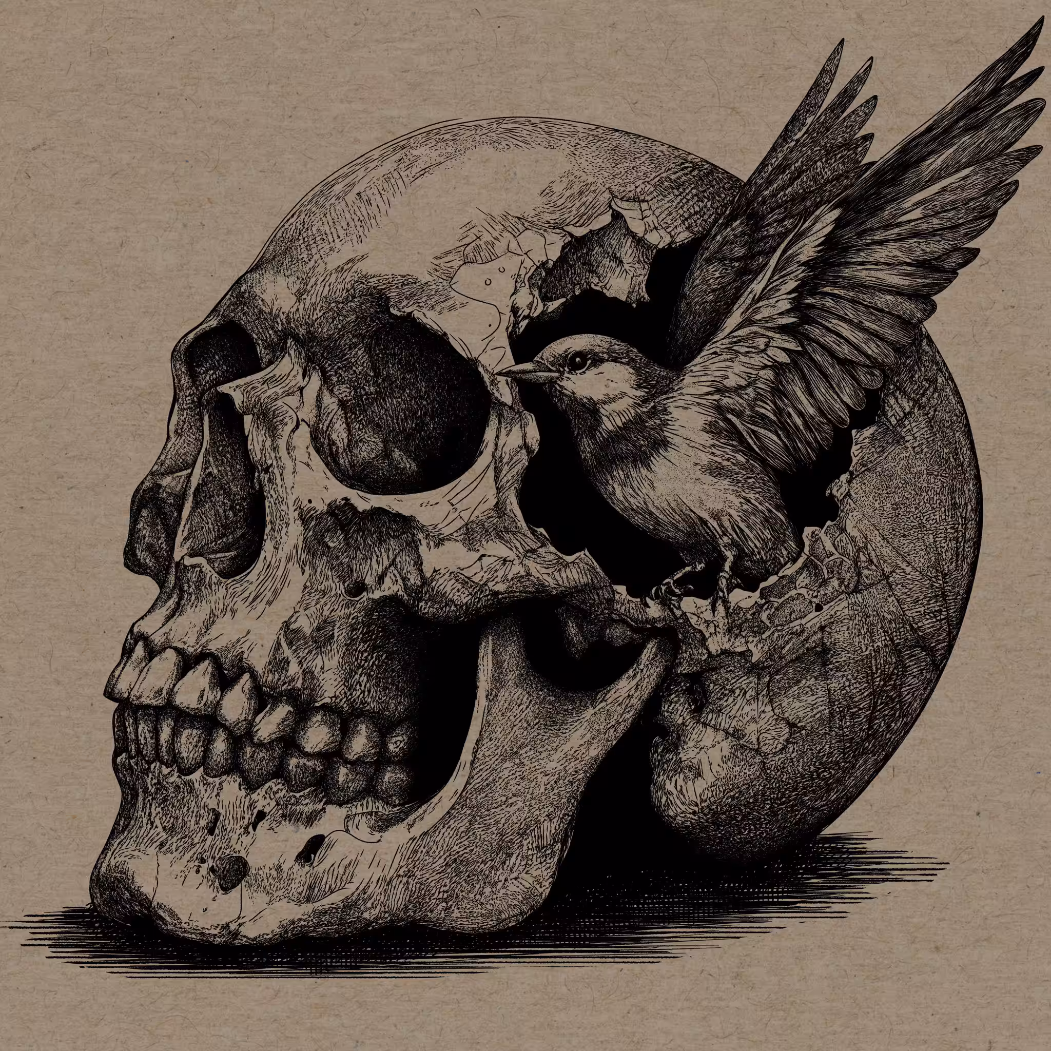 blackbird