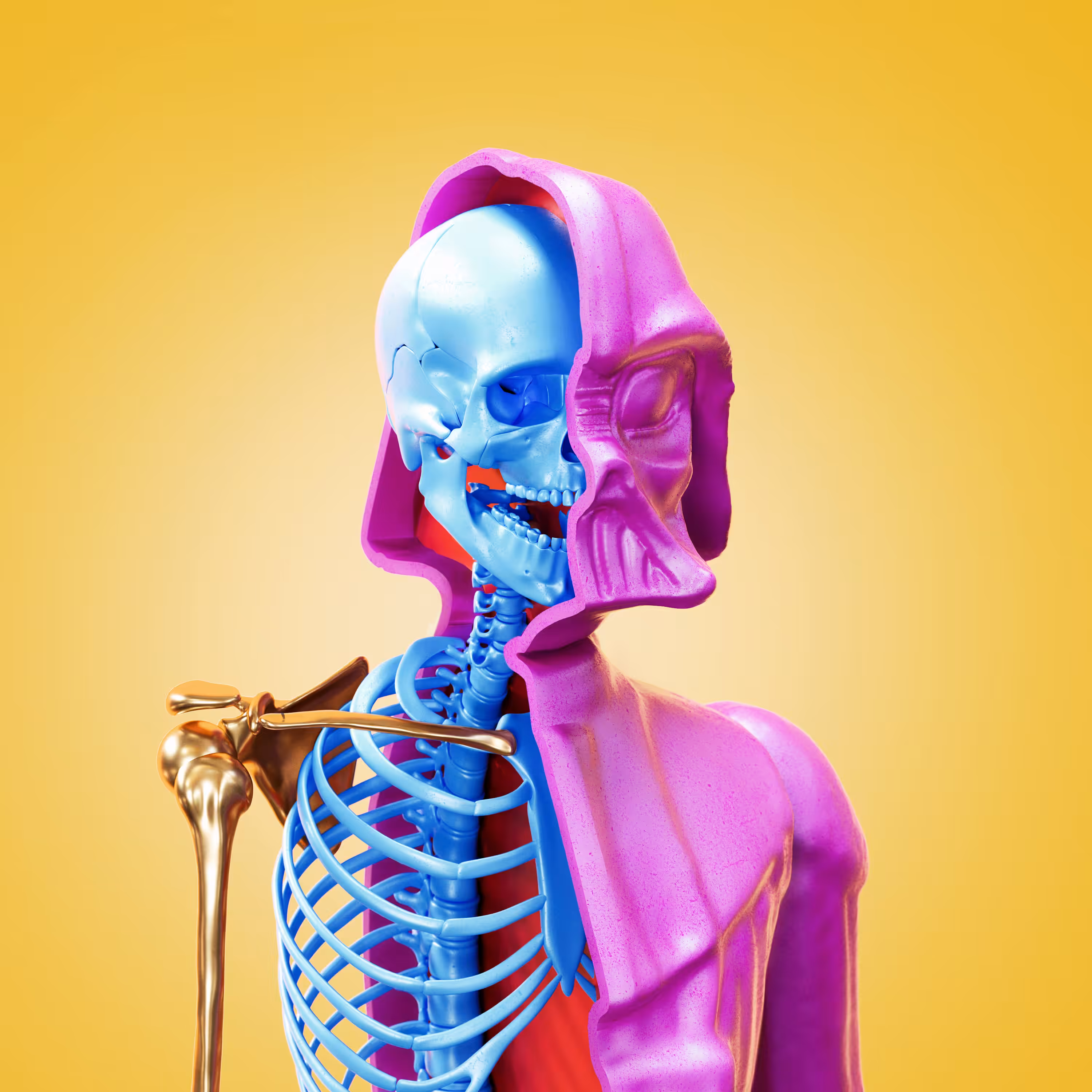 Plastic Dissection - 1