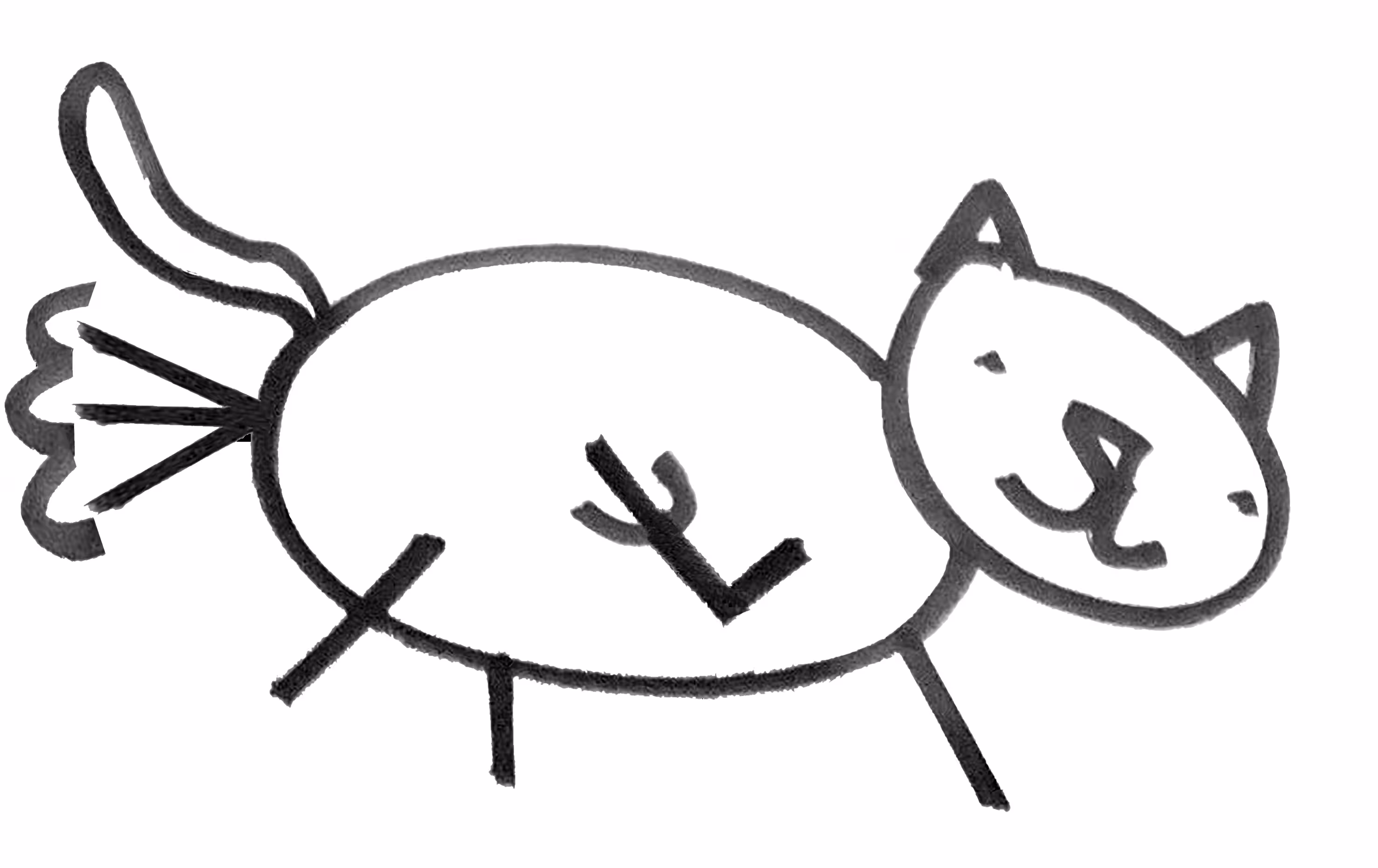 Ellen's Cat