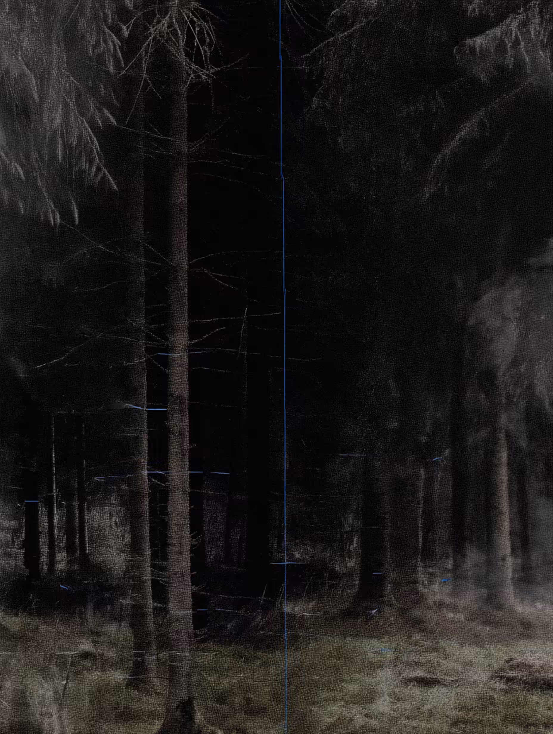 NeLandscape [30]