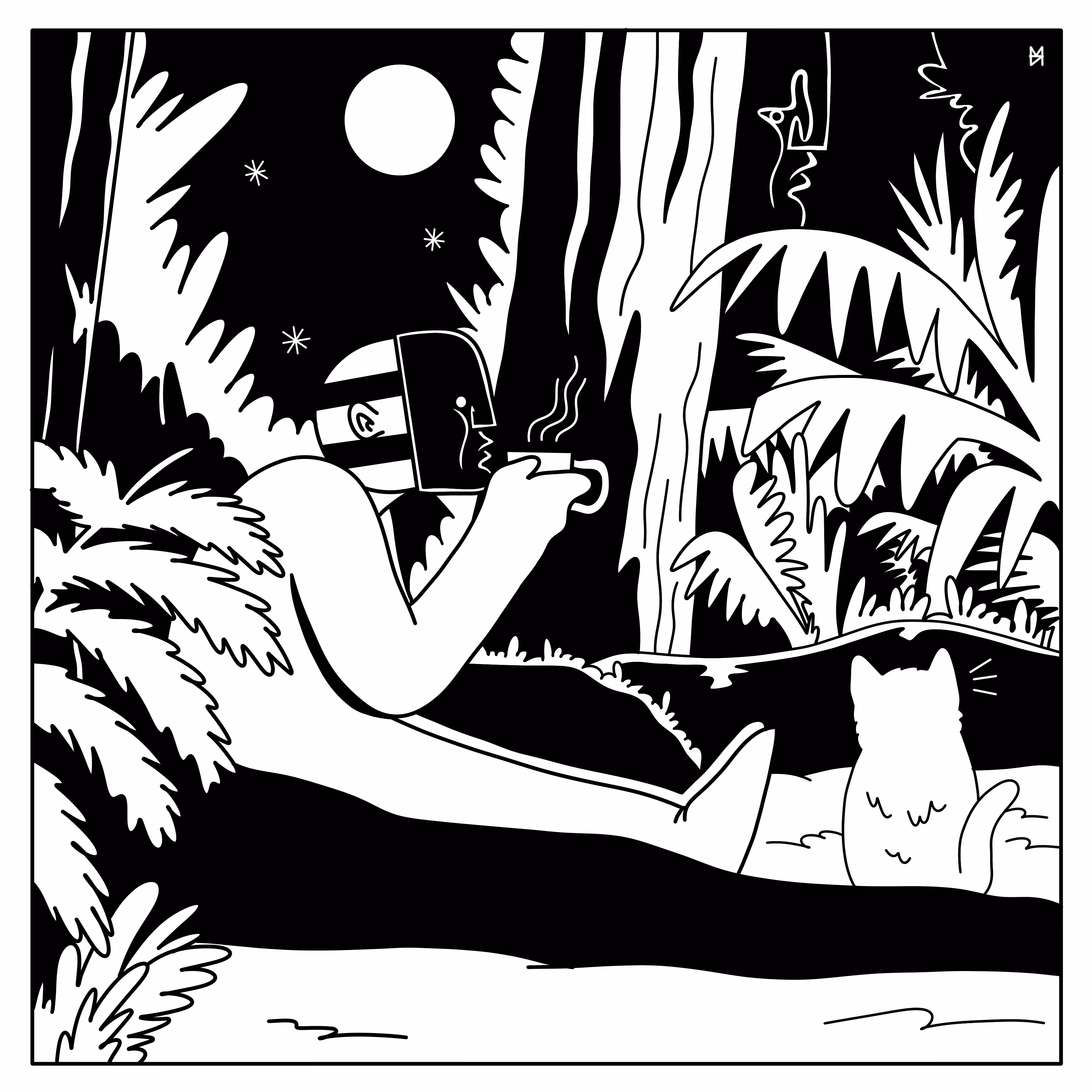 rain forest