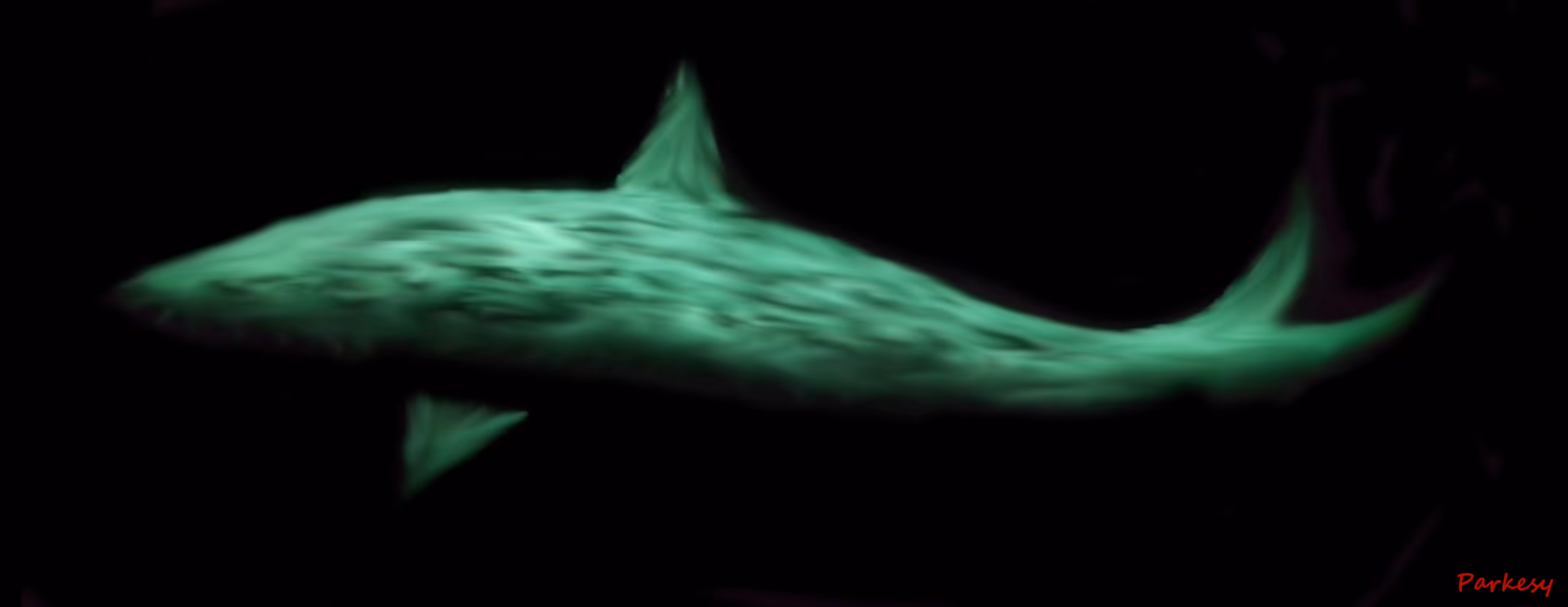 Glow in the Dark Shark