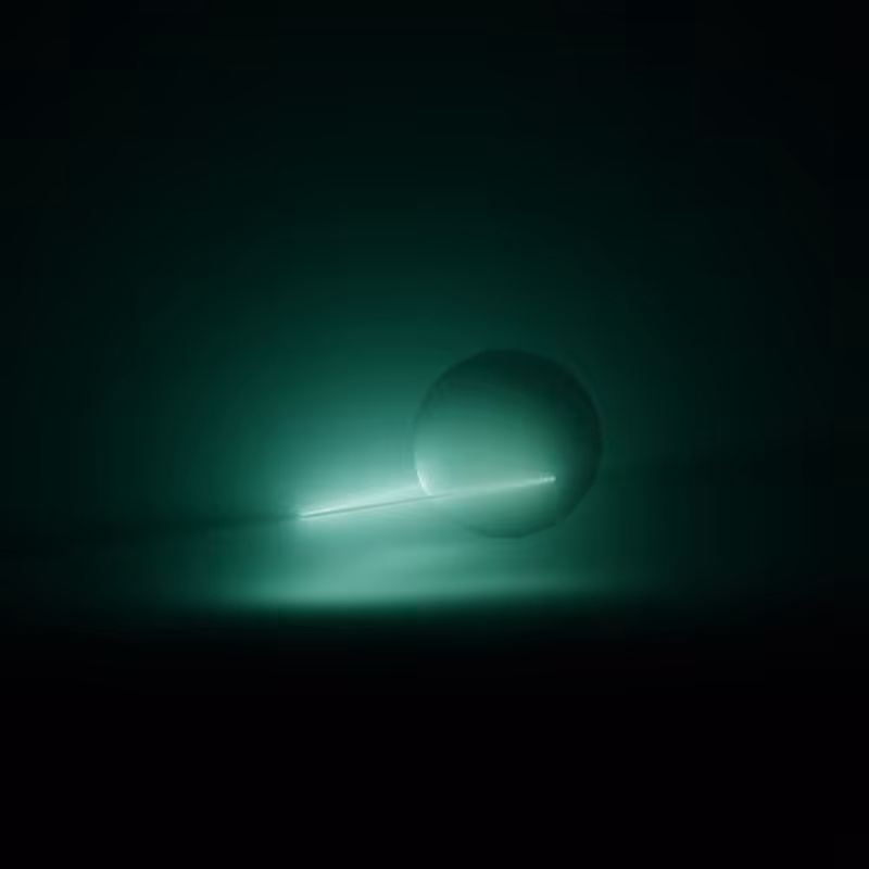 Wandering Nets #42