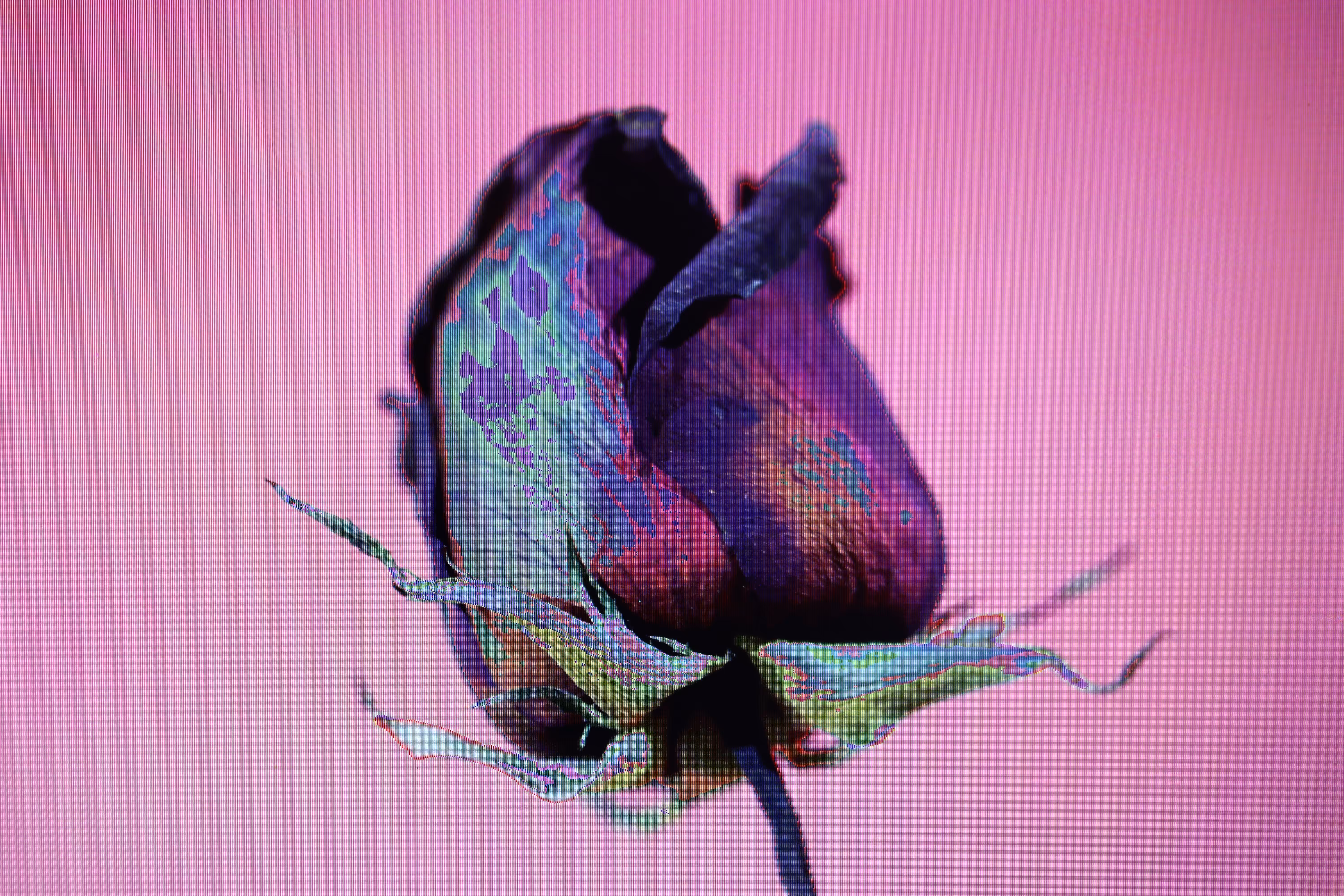 LOWREZ012