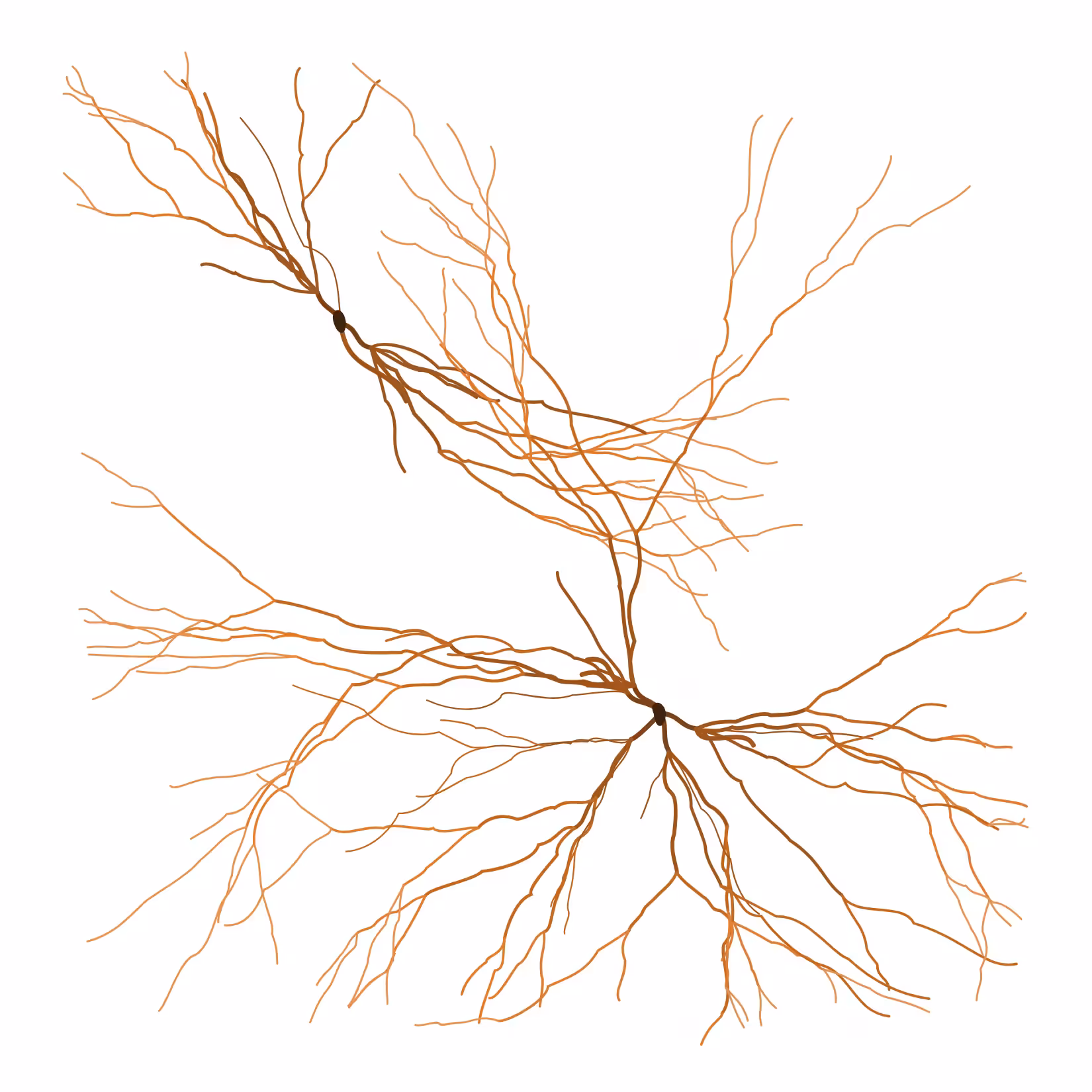 Ghost Forest Seedlings: Ghost Forest Seedling #513