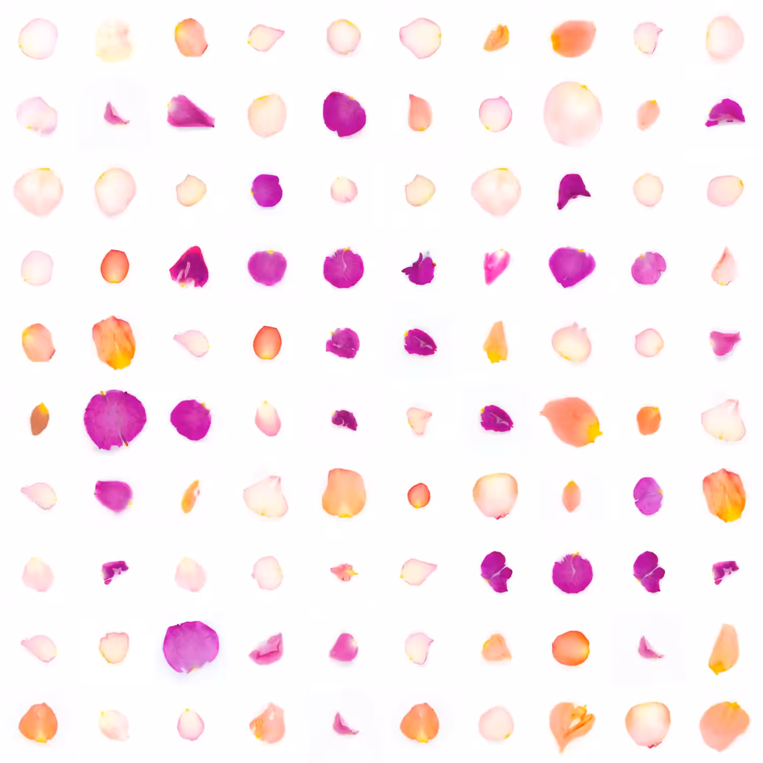 Infinite Petals 10x10#30003