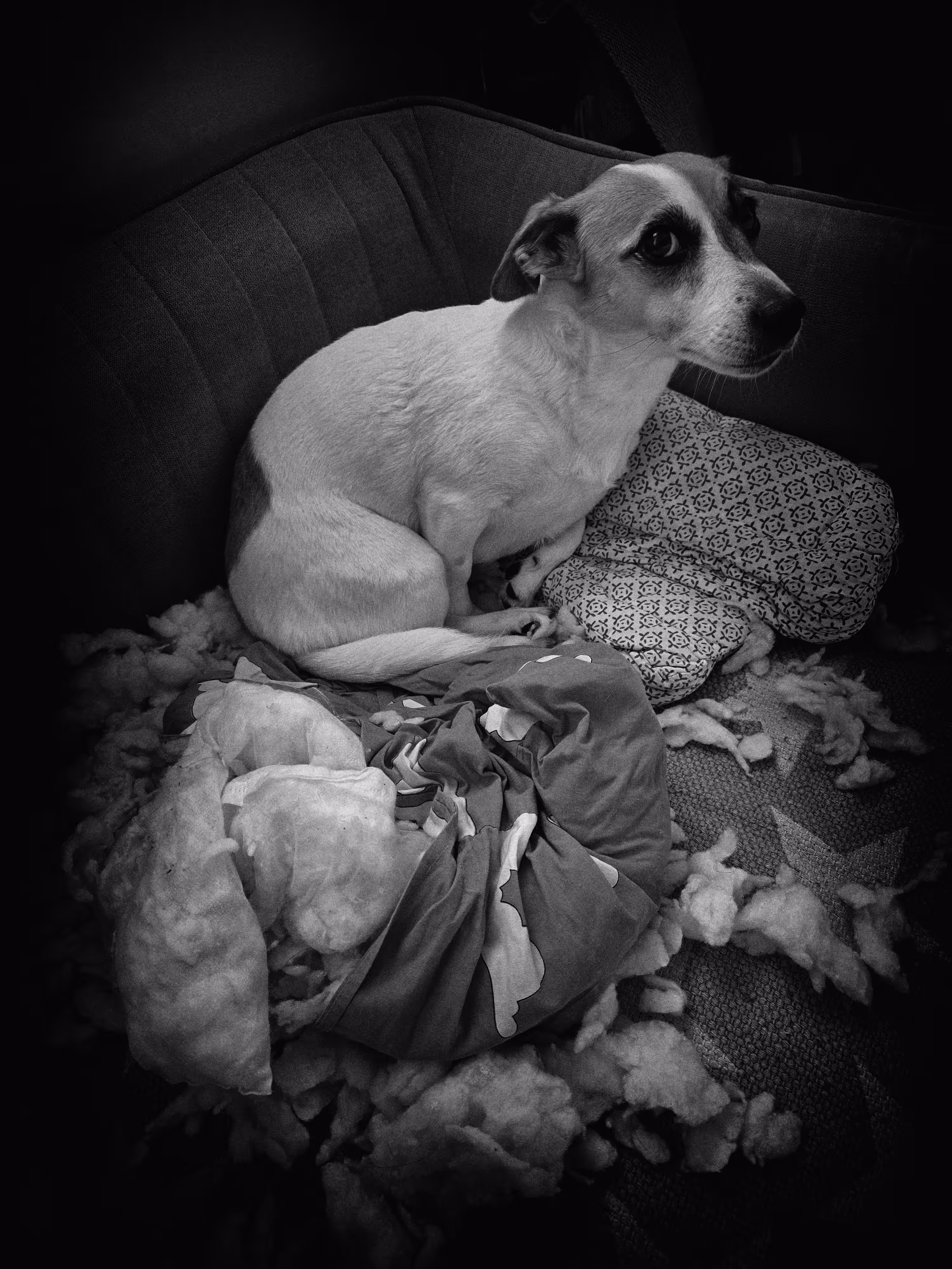 It Wasn't Me