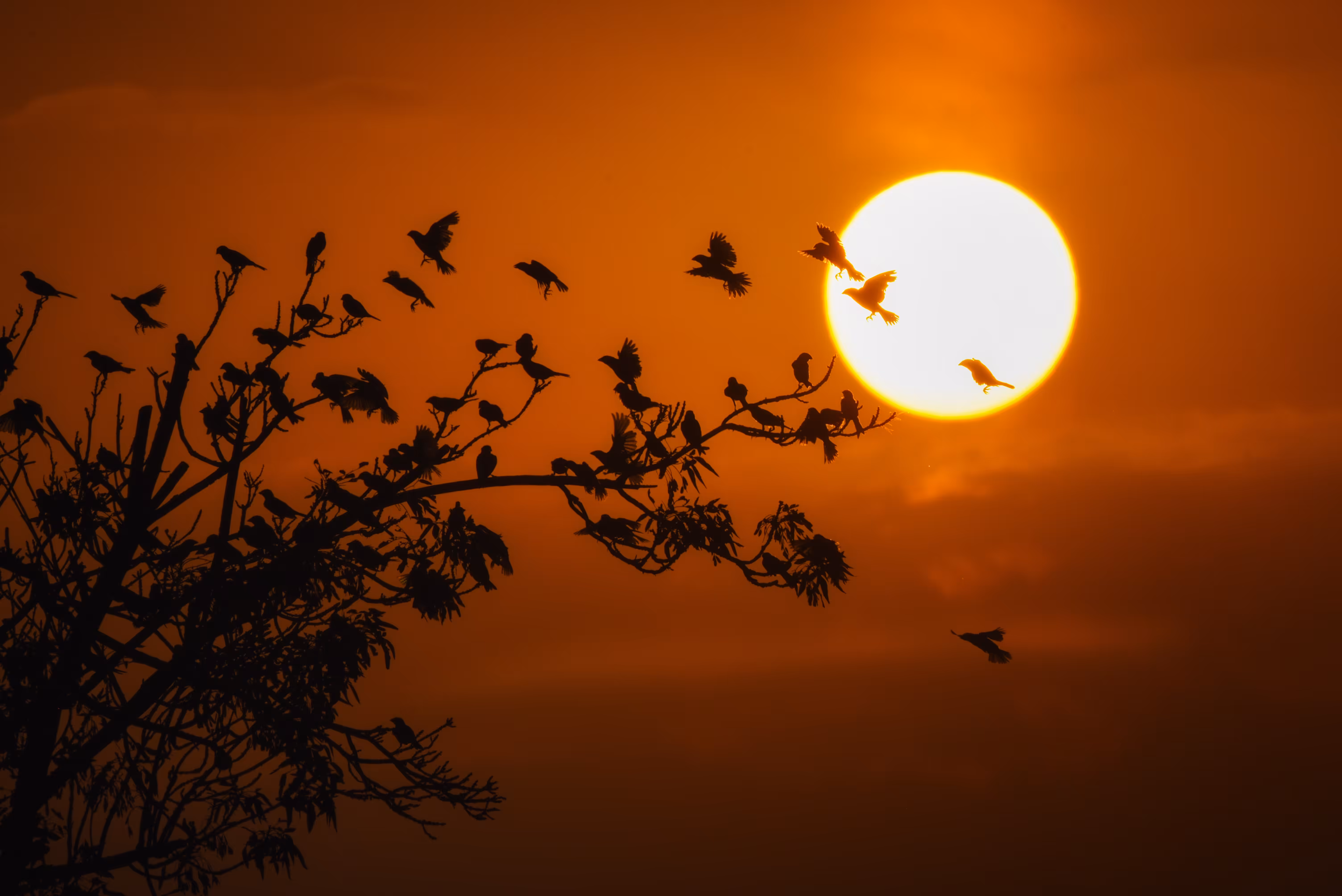 Beautiful sunset