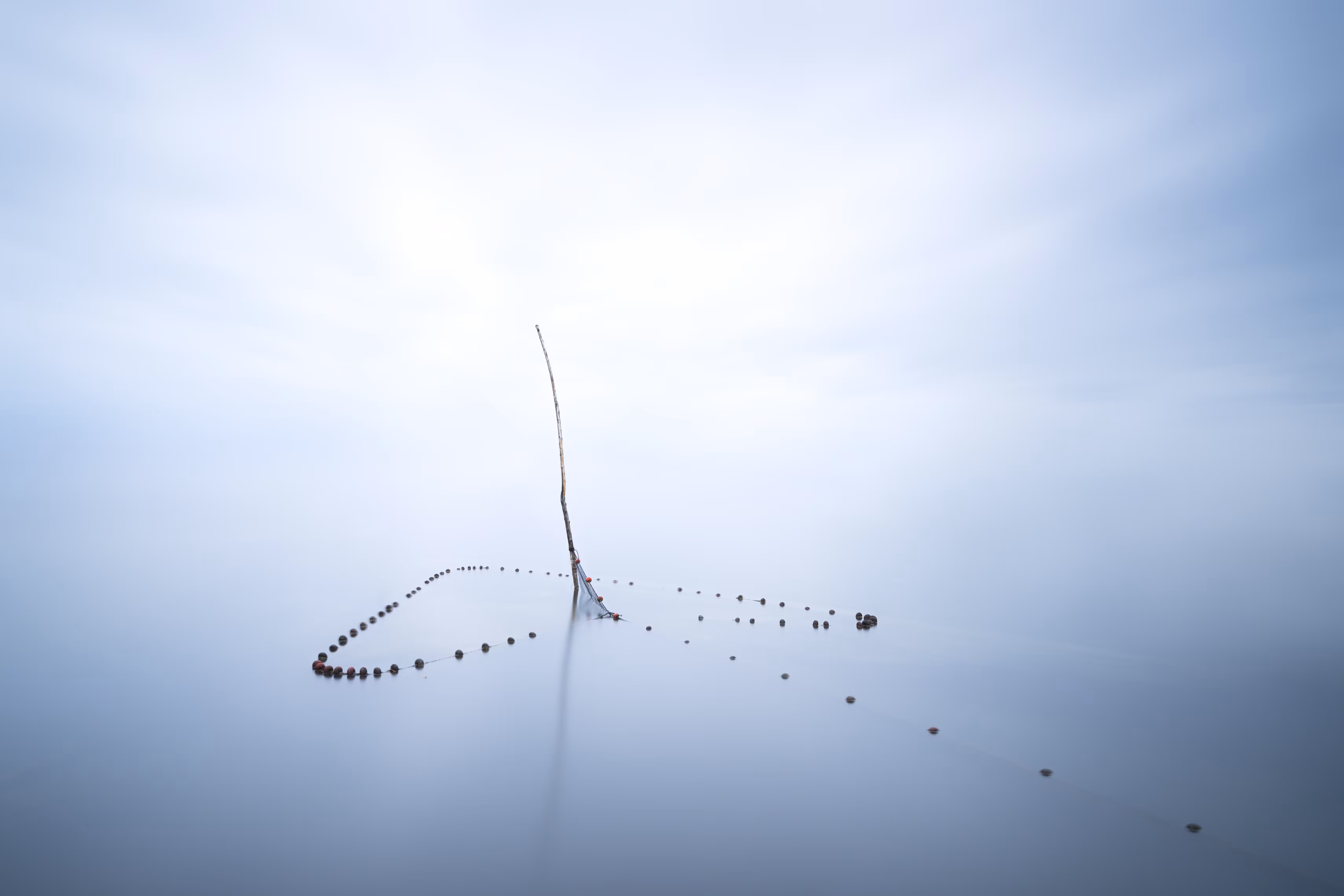 The arrow