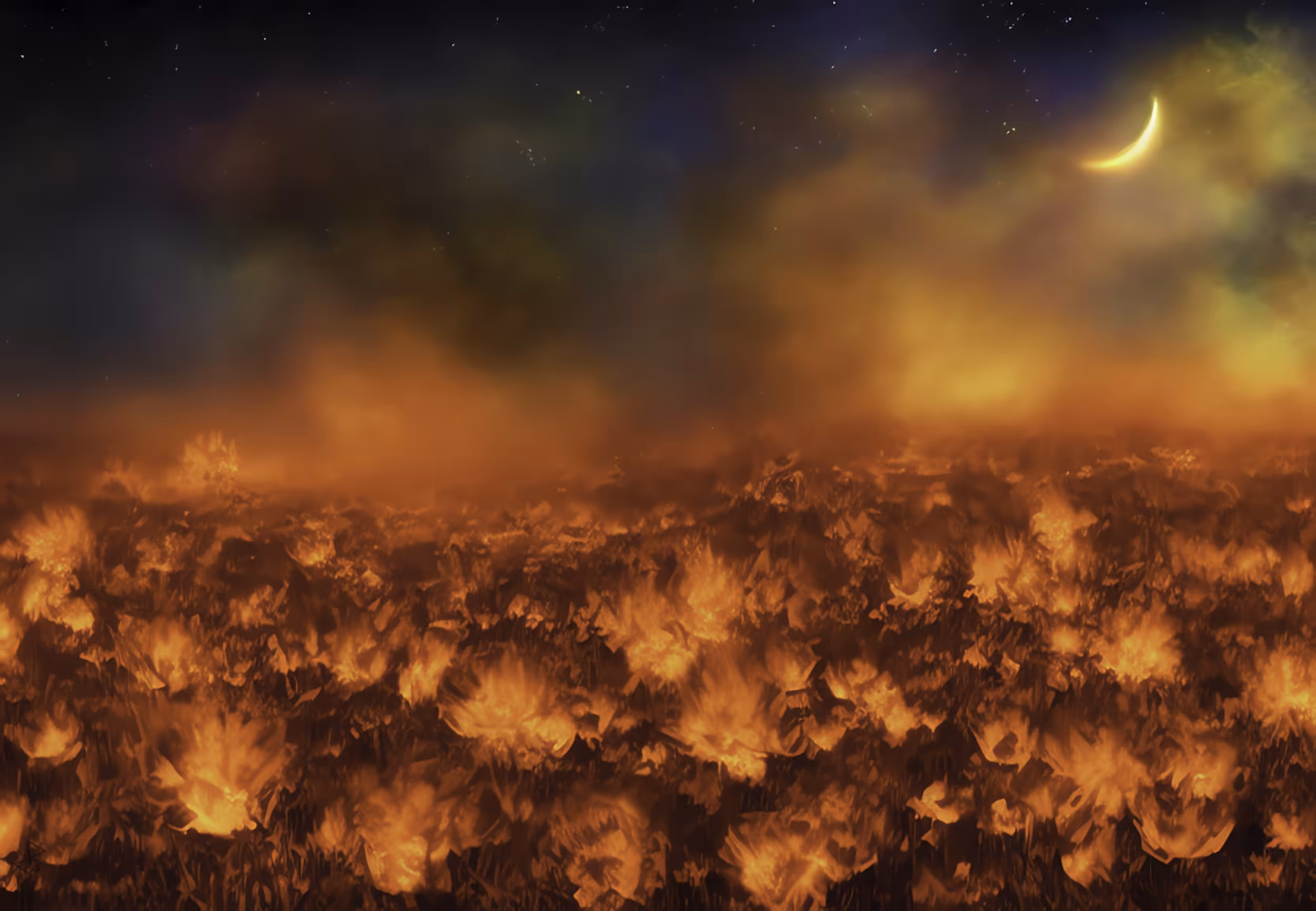 The fire flowers at night
