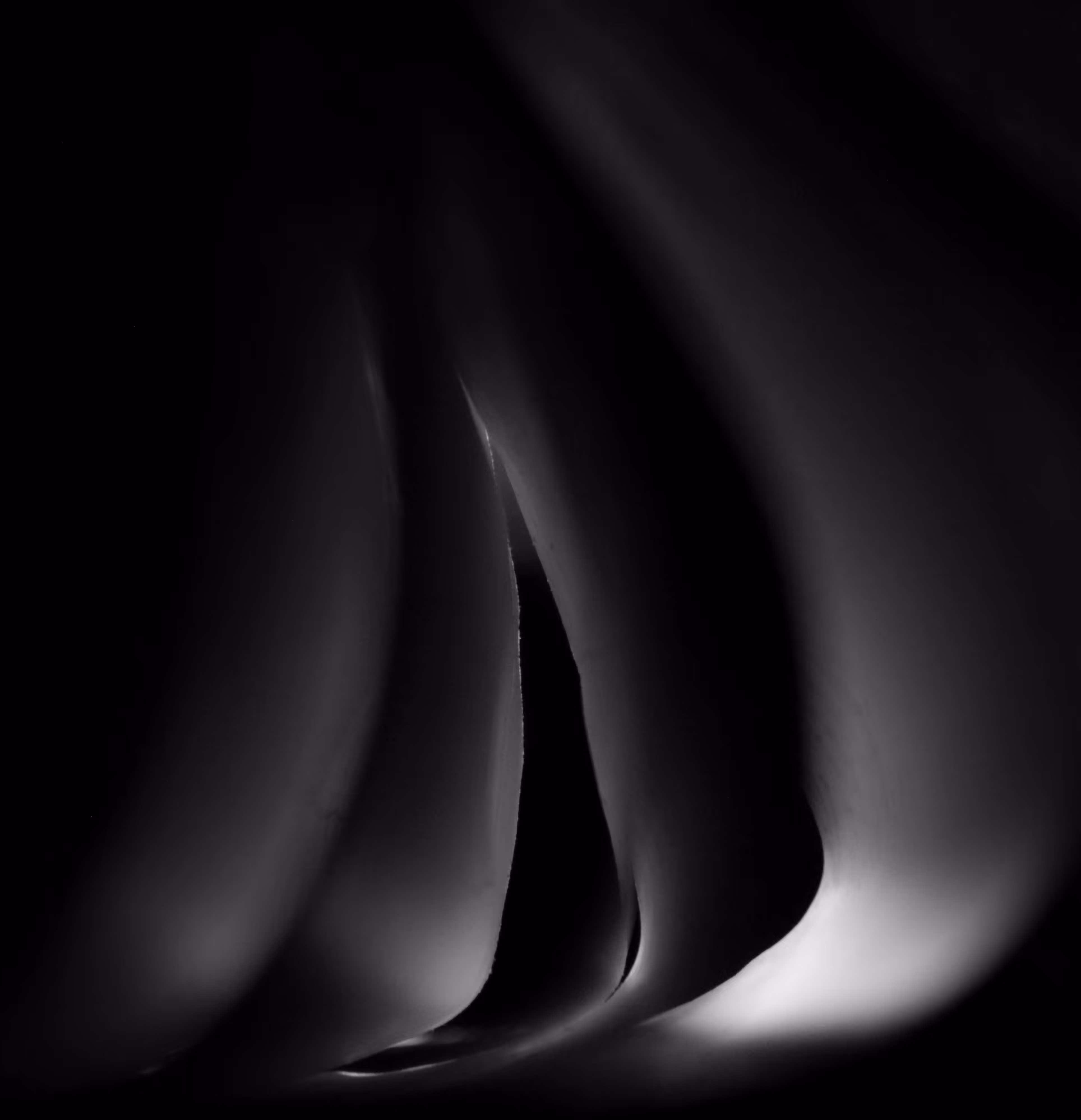 Shadows of Becoming