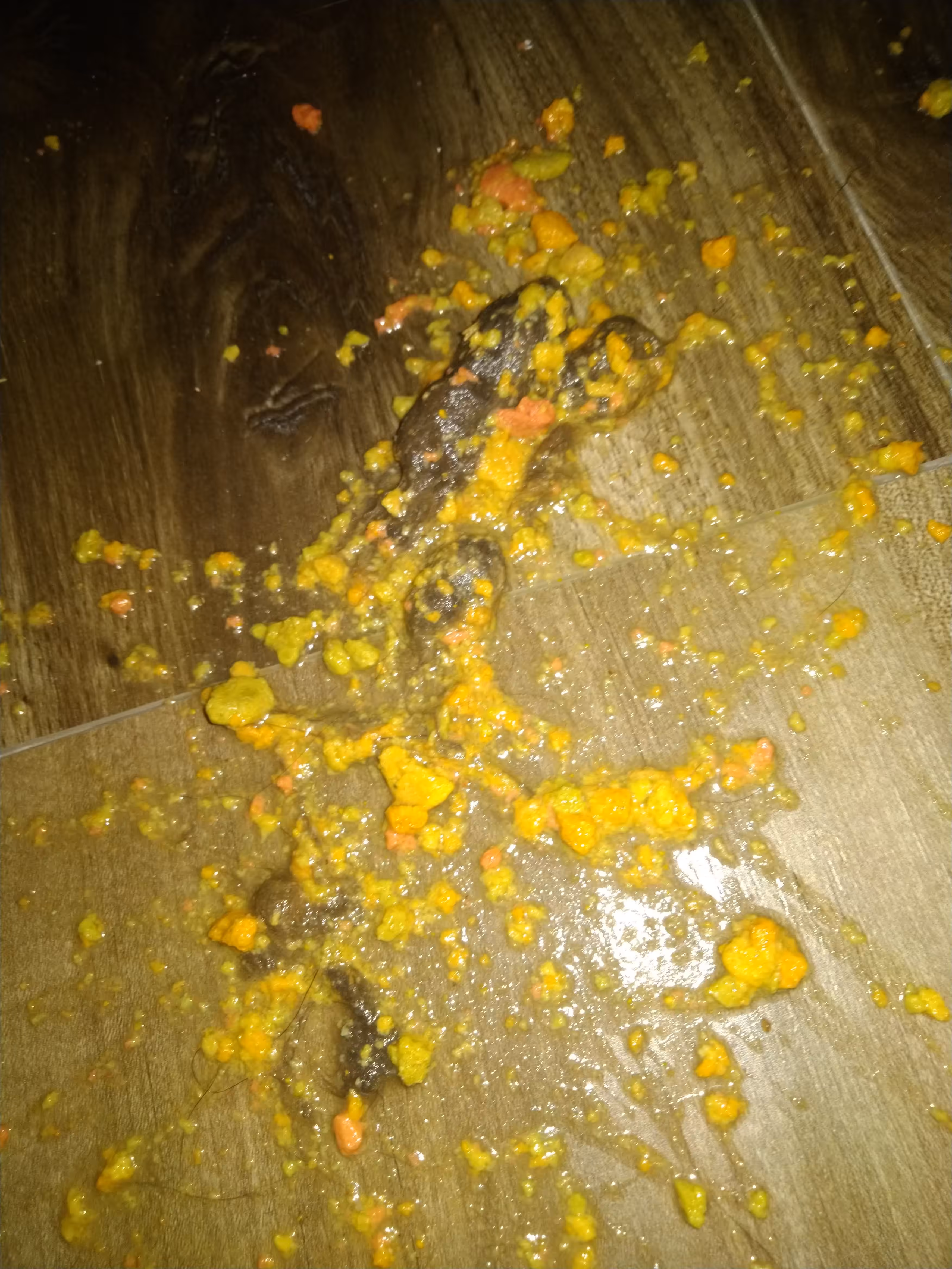 Batman's Hairball