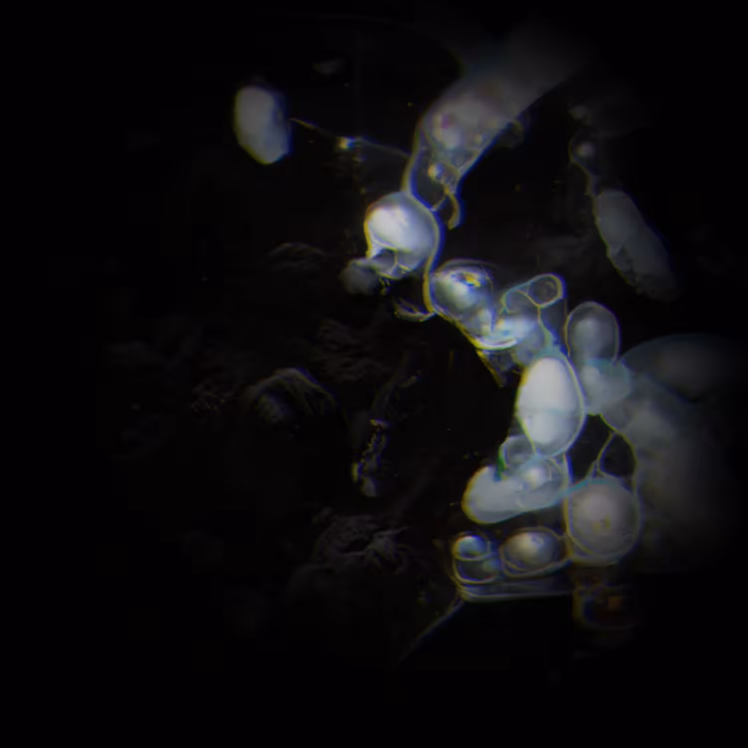 glitchspace6