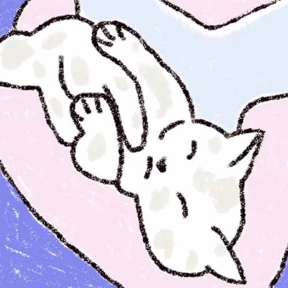  ๑๑๑๑ x๑๑๑๑