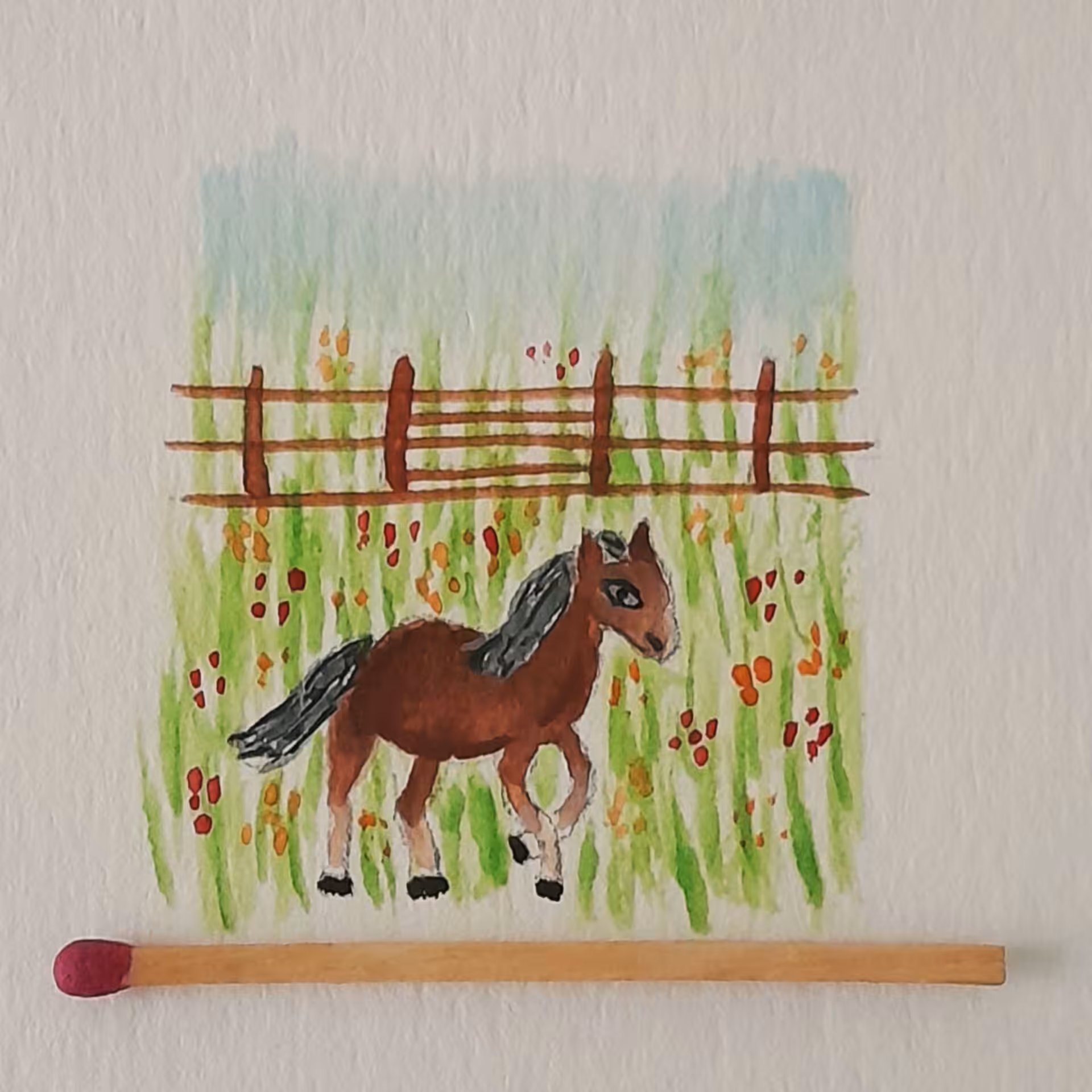 Horse 4