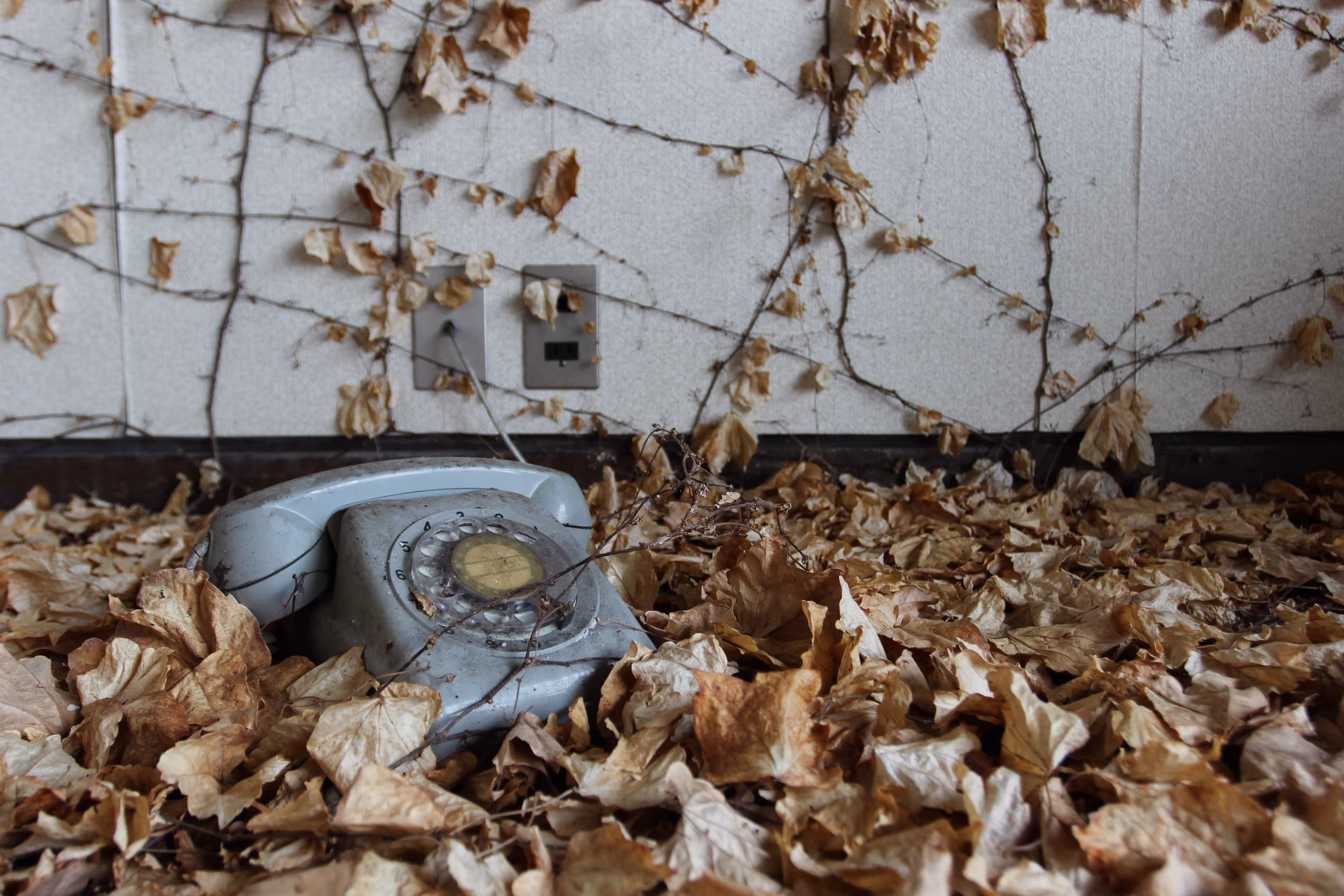 Emergency Calls Only