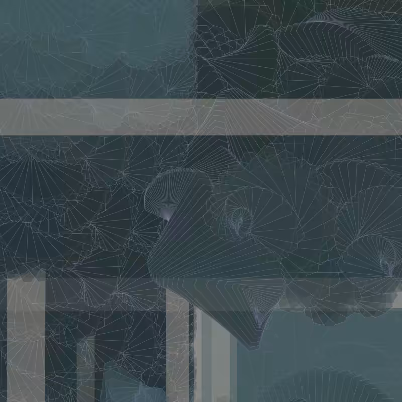 Braids/burdens #5