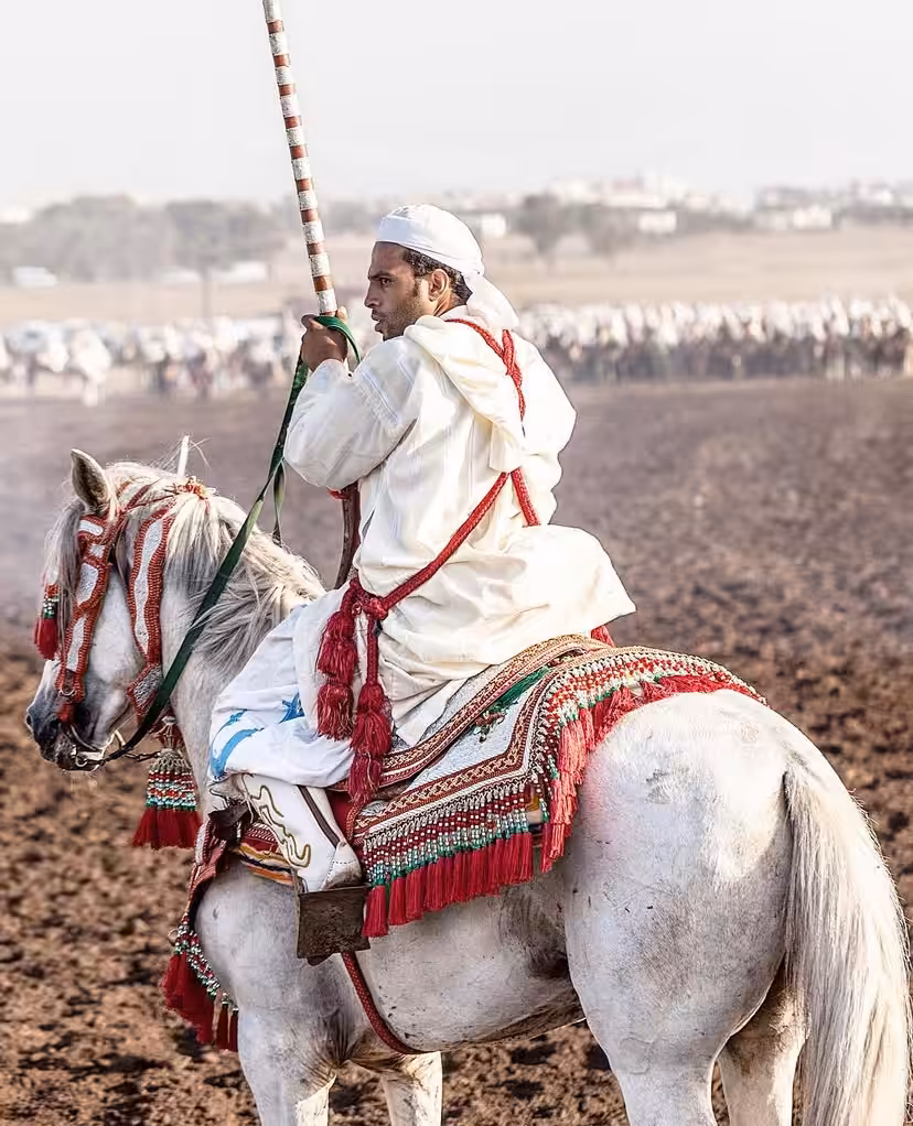 Tbourida horse rider in Morocco